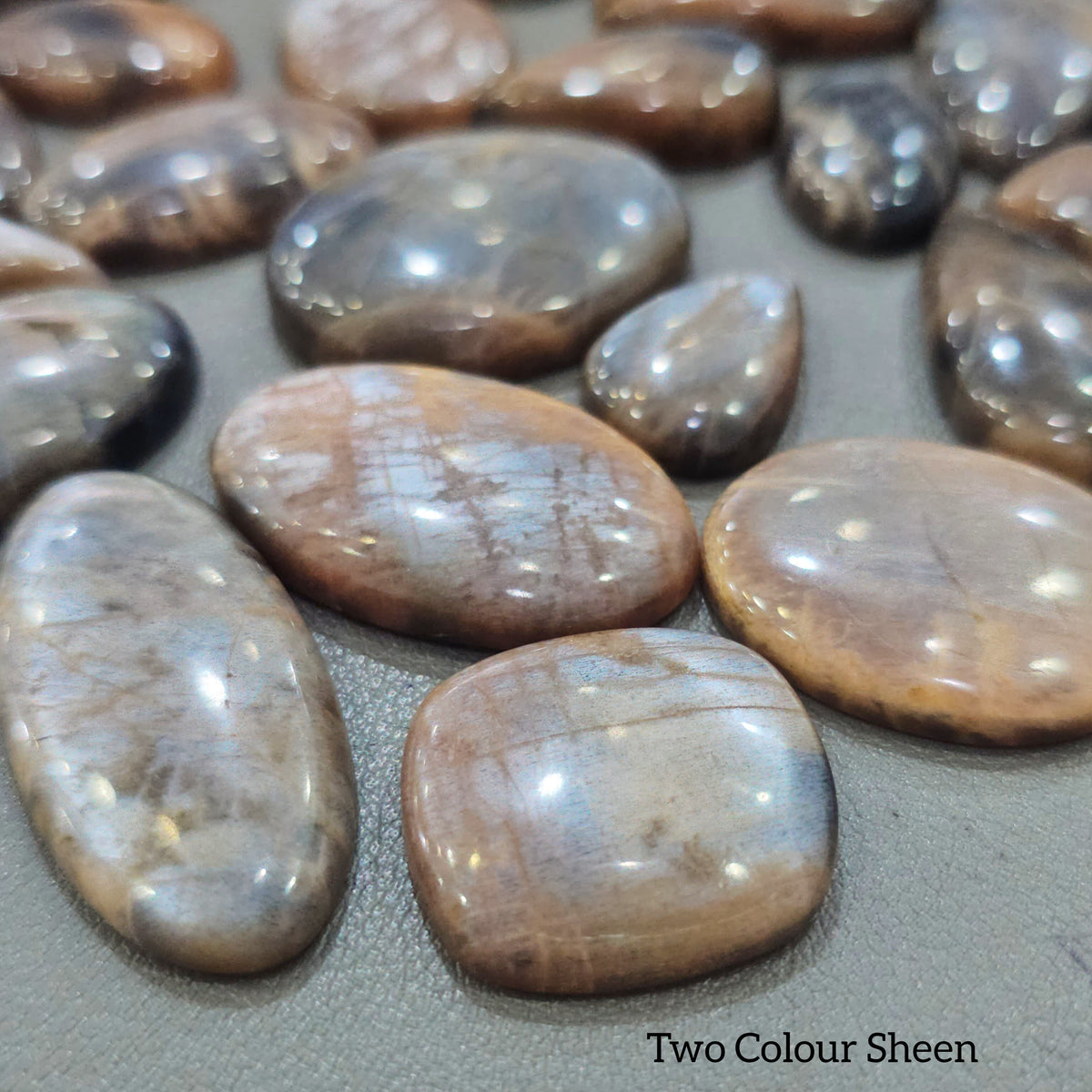 250g Natural BI-Color Moonstone Gemstones | 40–50 Pcs Approx. | 17–44mm - The LabradoriteKing
