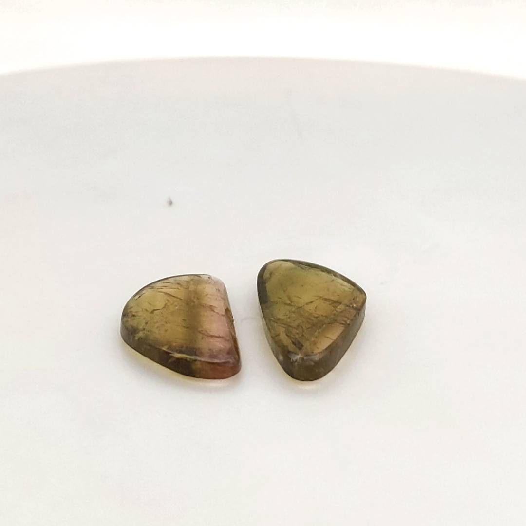 2 Pics Natural Watermelon Tourmaline Slice | Size:18-21mm | With Certificate - The LabradoriteKing