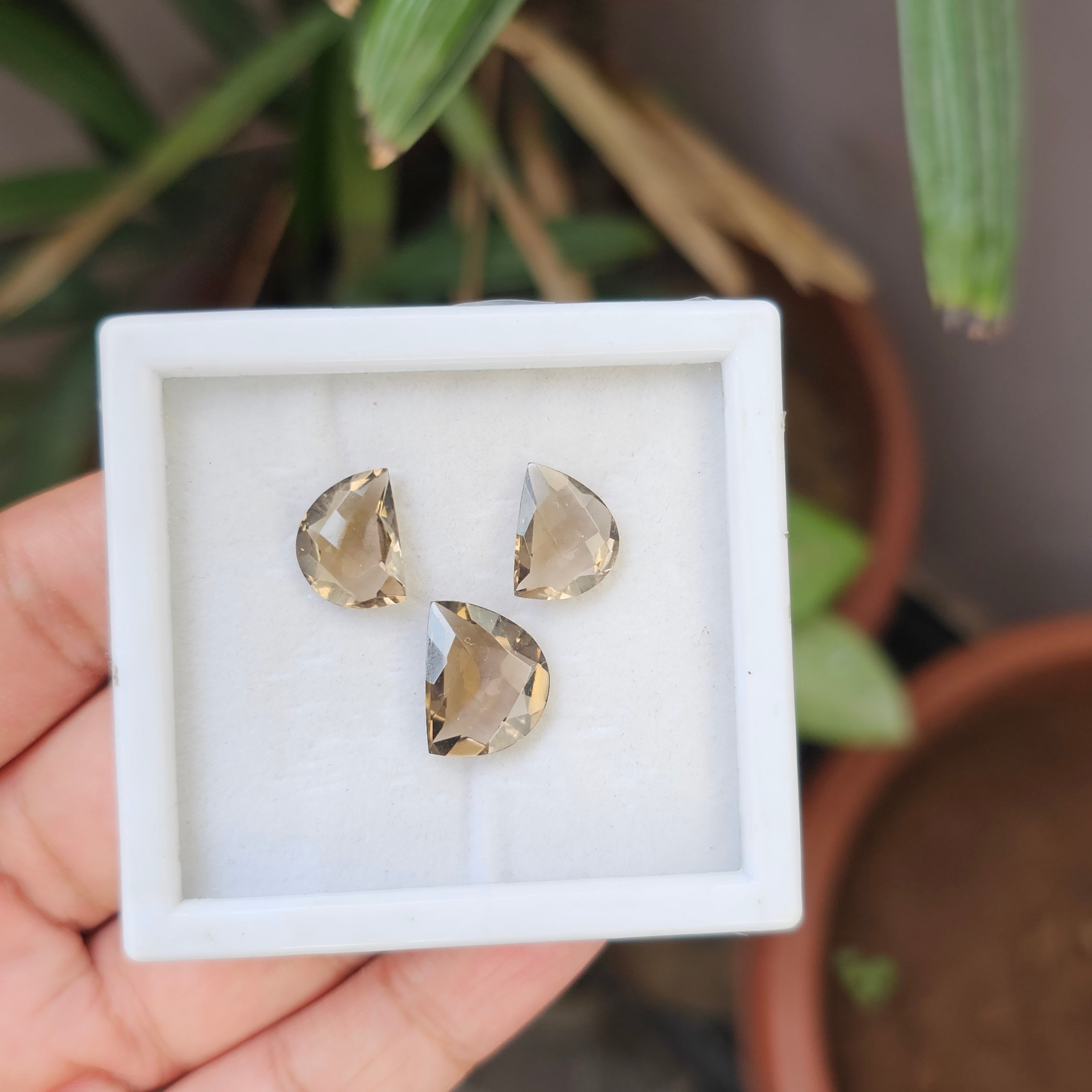 3 Pcs Natural Smoky Quartz Set Fancy Shape:14-13mm - The LabradoriteKing