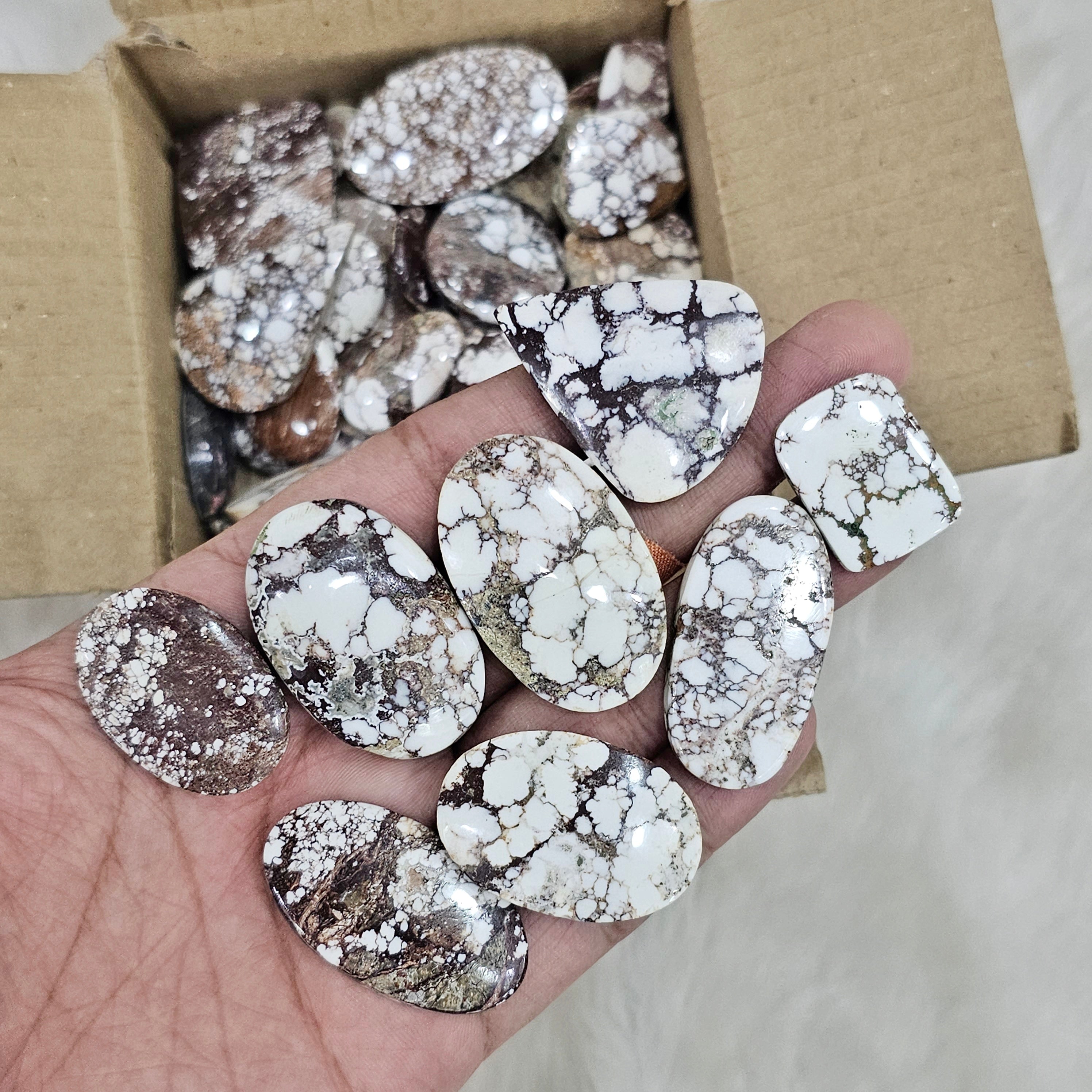 500 Grams of Wild Horse Cabochons | 40 pcs Approx | 1 Inch to 3 Inch - The LabradoriteKing