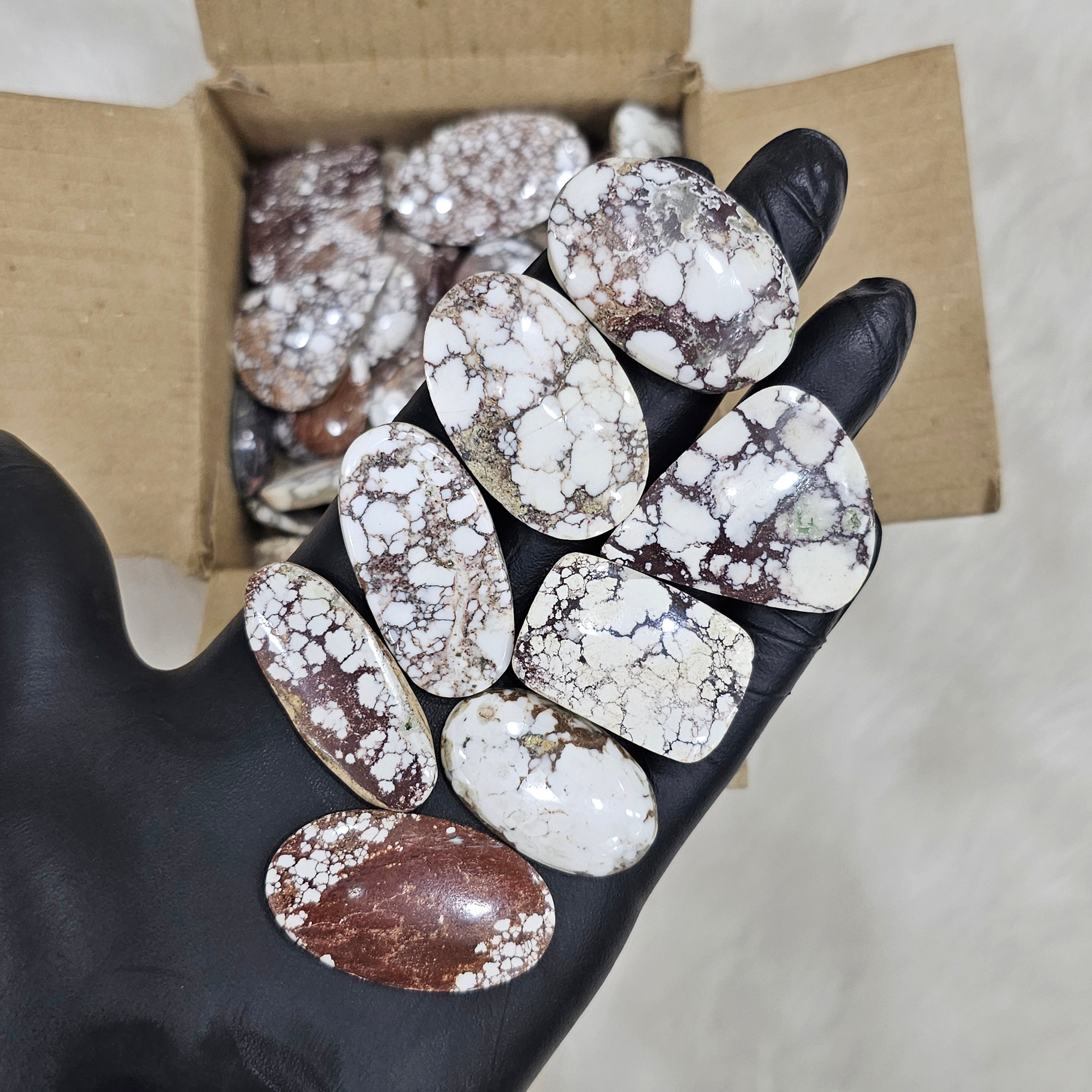 500 Grams of Wild Horse Cabochons | 40 pcs Approx | 1 Inch to 3 Inch - The LabradoriteKing