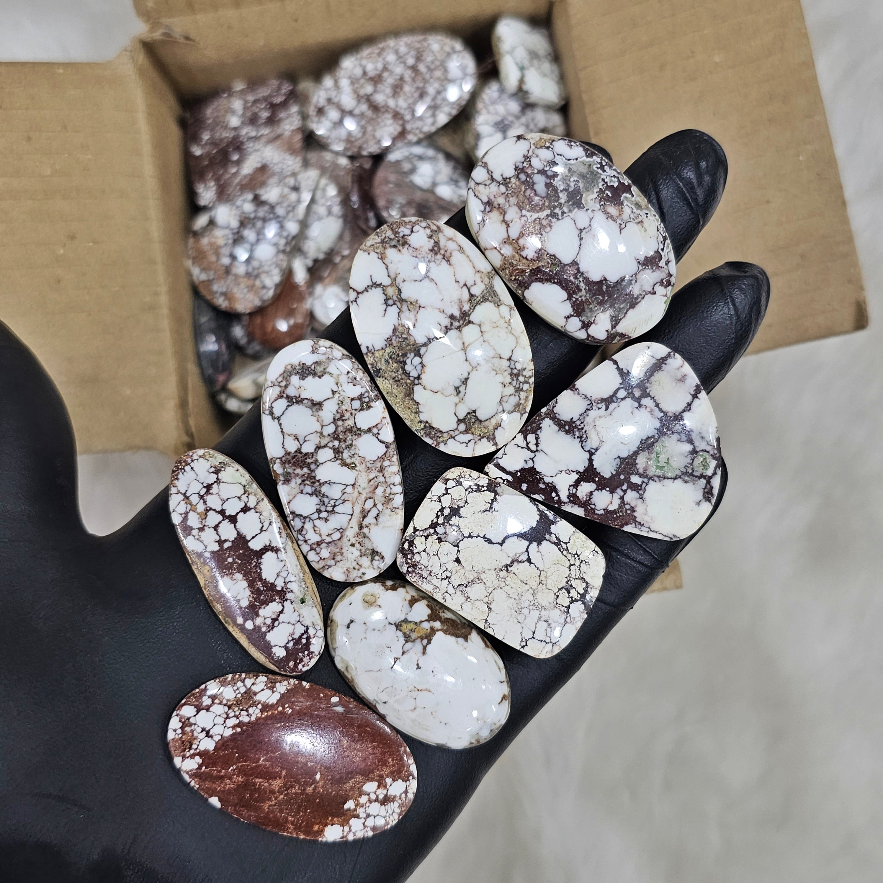 500 Grams of Wild Horse Cabochons | 40 pcs Approx | 1 Inch to 3 Inch - The LabradoriteKing