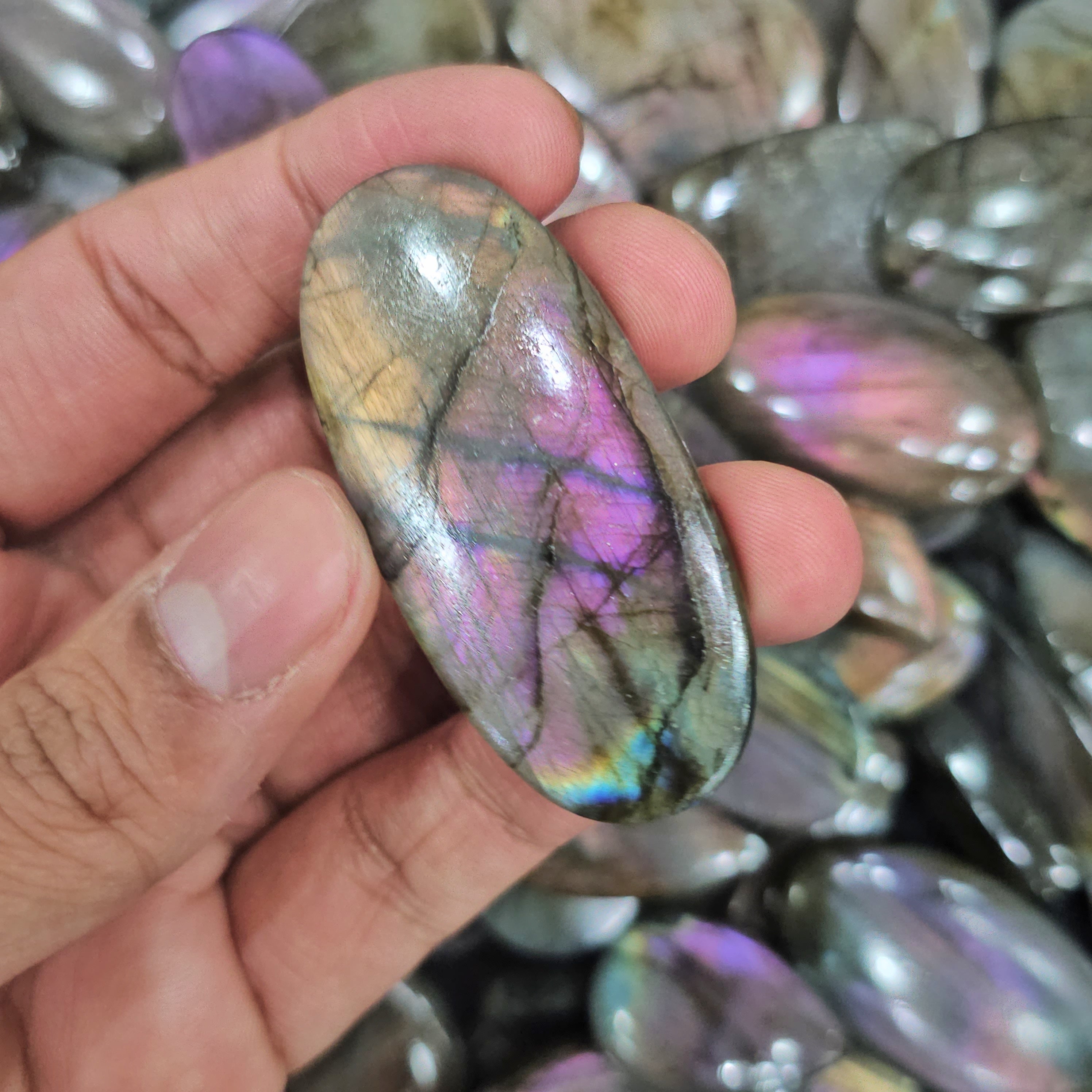 500 Gram Purple Labradorites Untreated | Non coated | 40-50 Pcs - The LabradoriteKing