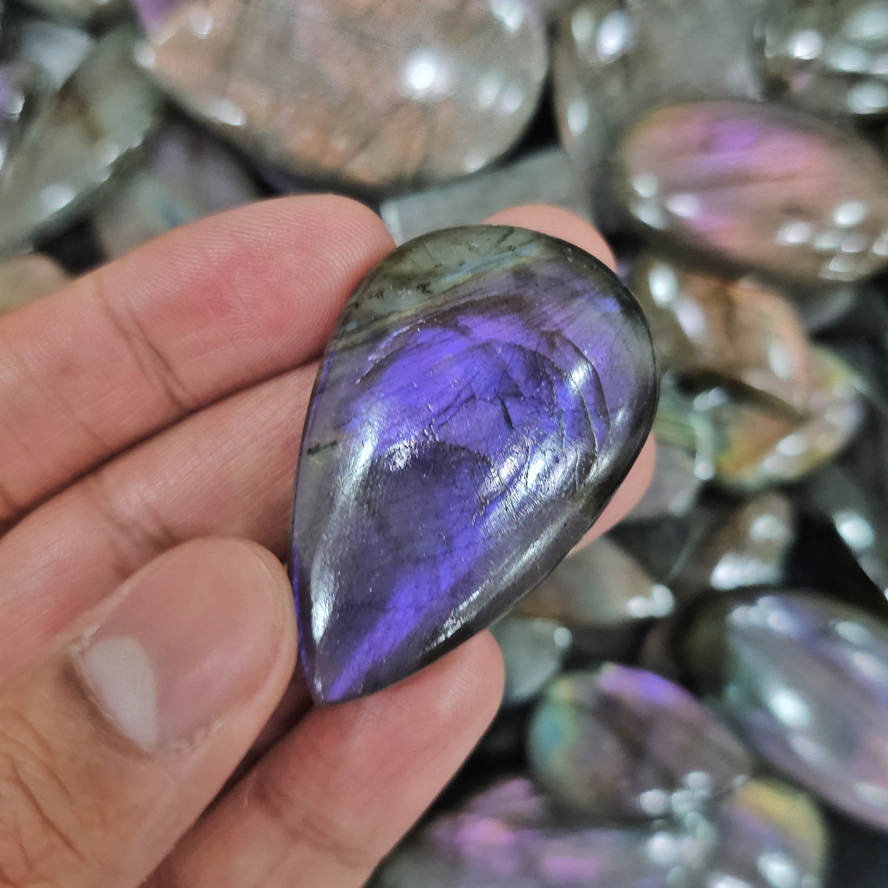 500 Gram Purple Labradorites Untreated | Non coated | 40-50 Pcs - The LabradoriteKing