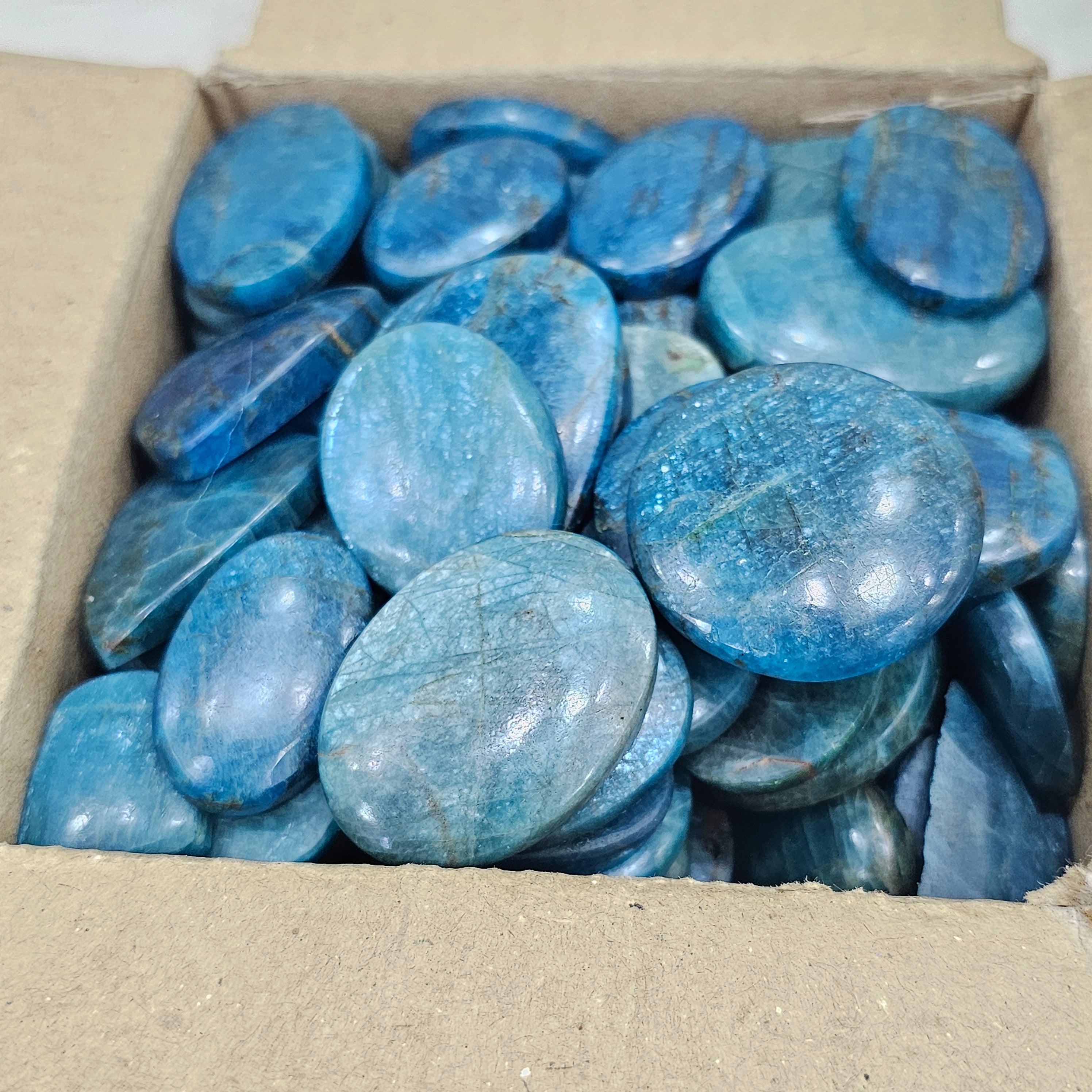 500 Grams Apatite from India | Blue Sheen variant| 40-50Pcs - The LabradoriteKing
