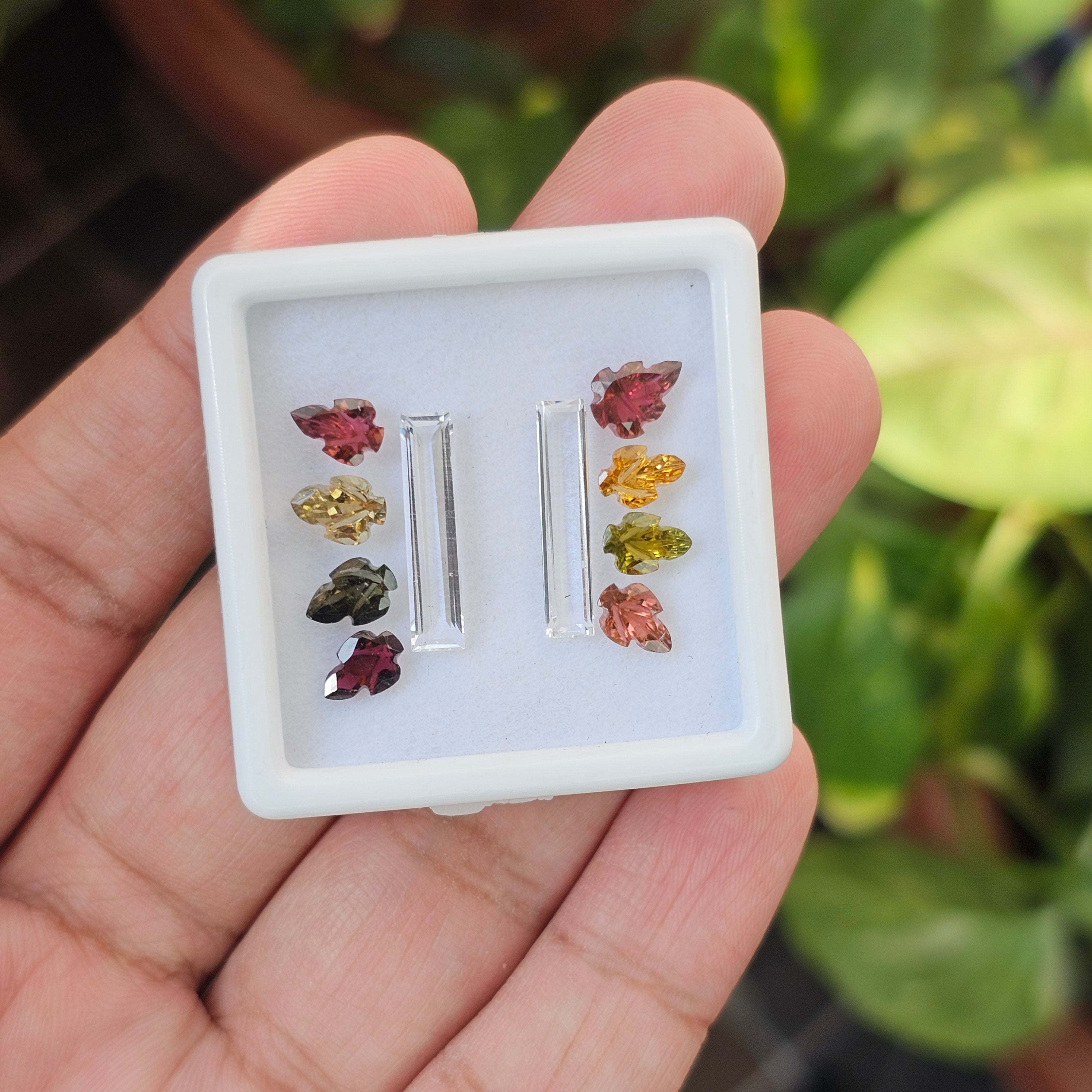 10 Pcs Of Natural Tourmaline & White Topaz Carved | Shape: Mix | Size: 7-18mm - The LabradoriteKing