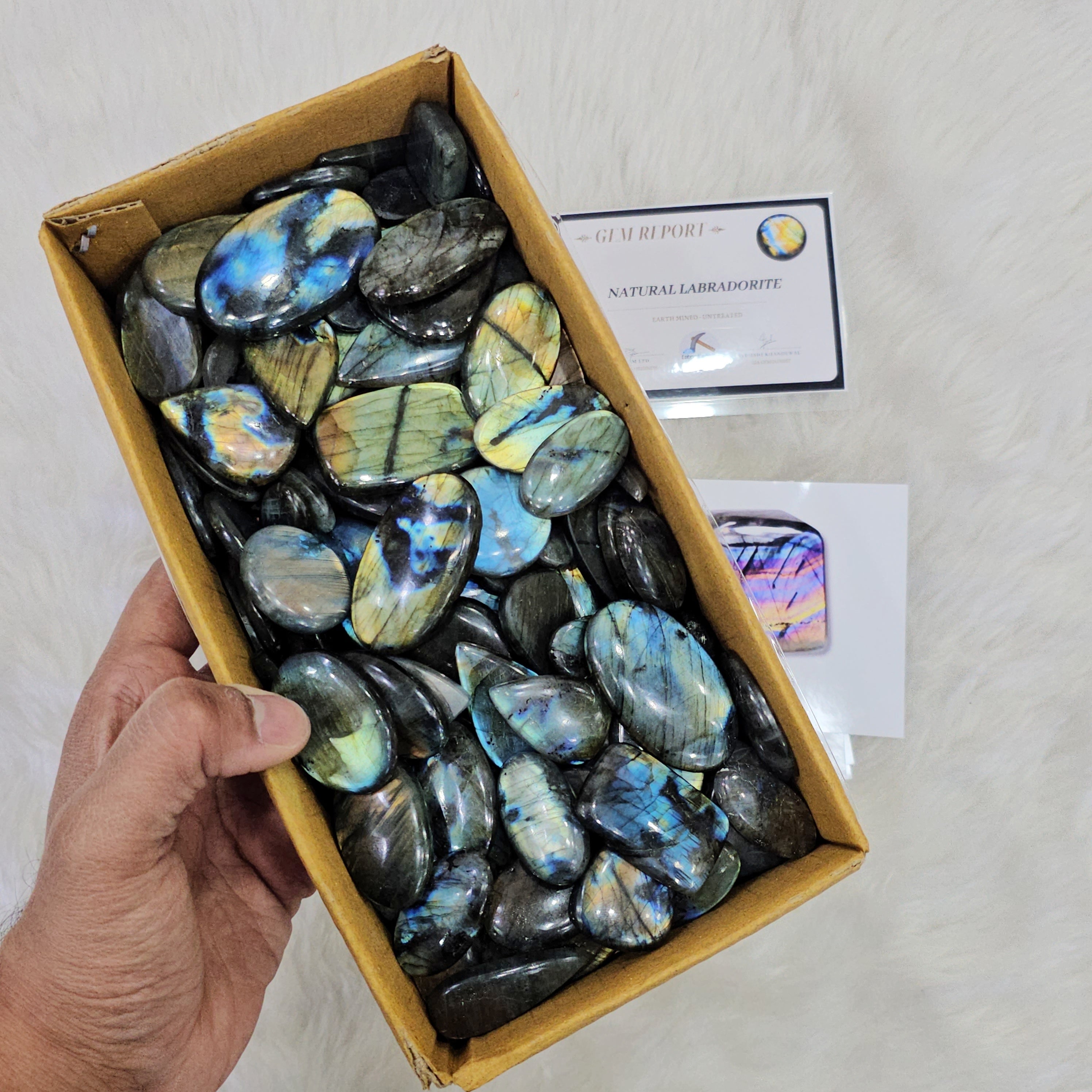 Wholesaleđ„ Labradorite Cabochons V2.0 | Flashy High quality slabs 1-3"Inches | 80-100 pcs - The LabradoriteKing