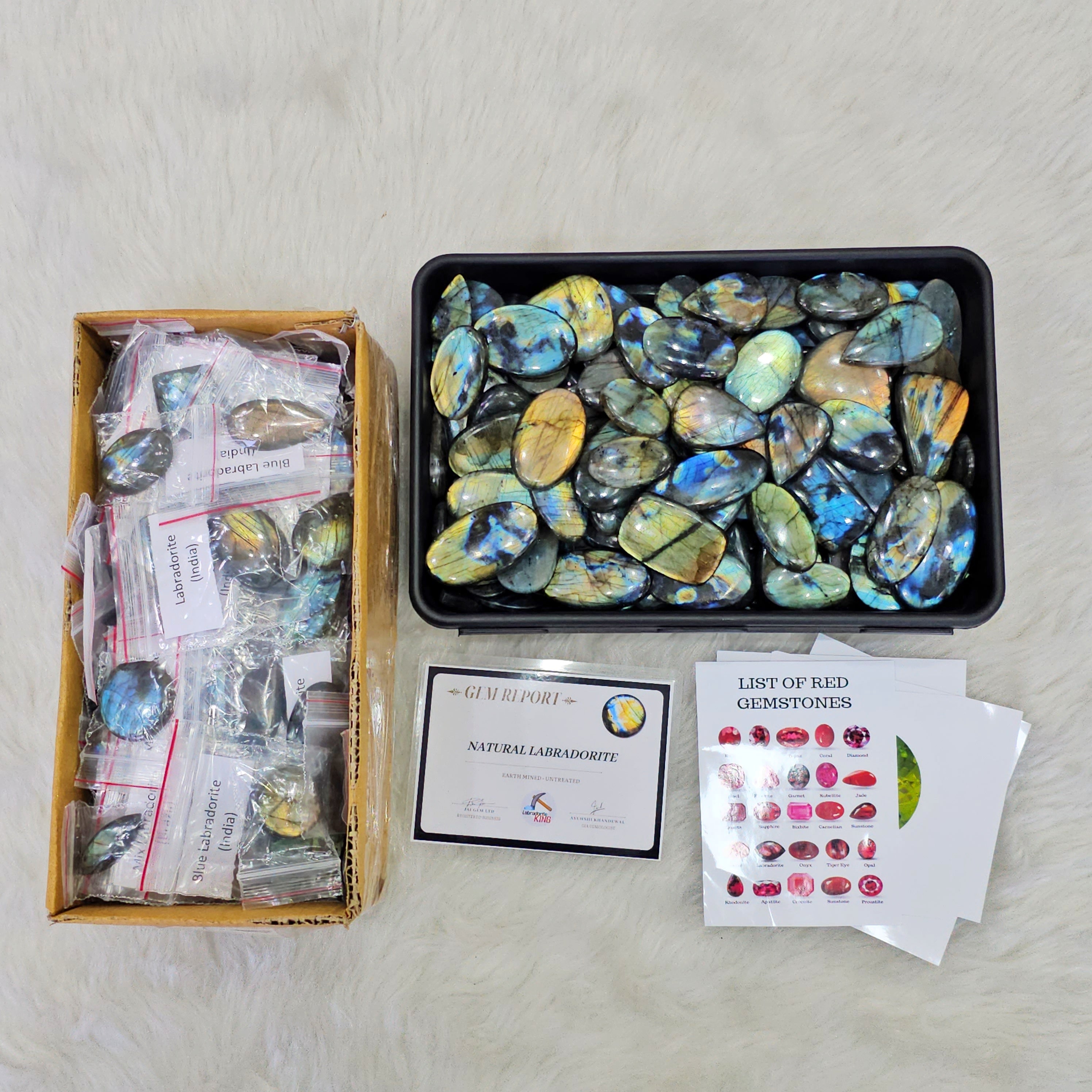 Wholesale🔥 Labradorite Cabochons V2.0 | Flashy High quality slabs 1-3"Inches | 80-100 pcs - The LabradoriteKing