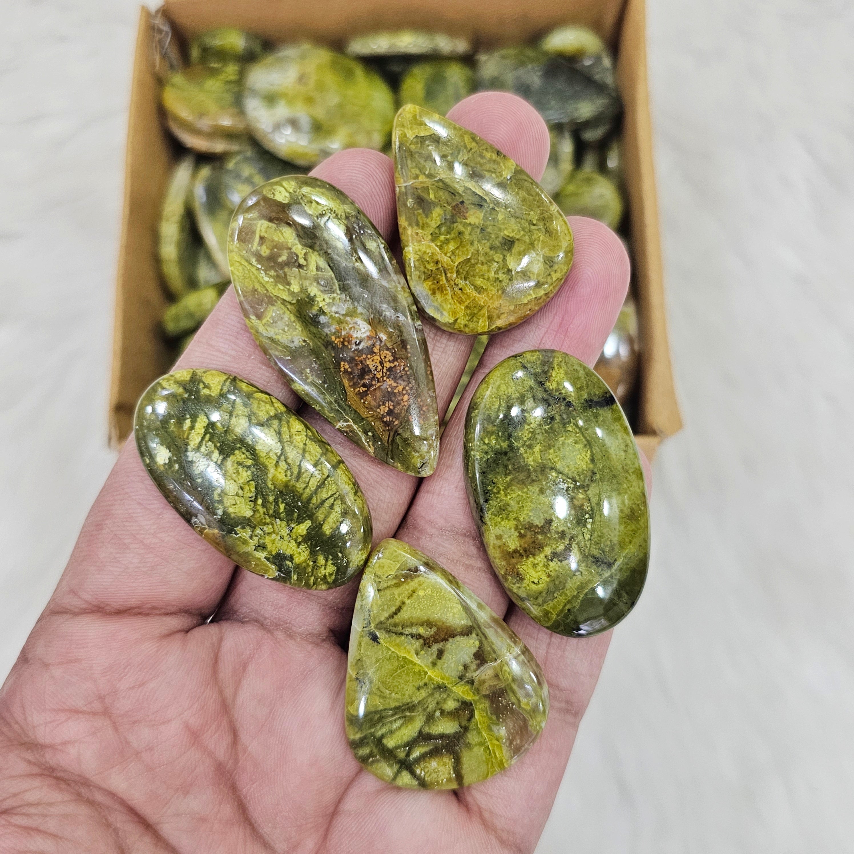 500 Grams of Green Opal Cabochon | 1"-3" Inches  | 40-60 Pcs approx - The LabradoriteKing