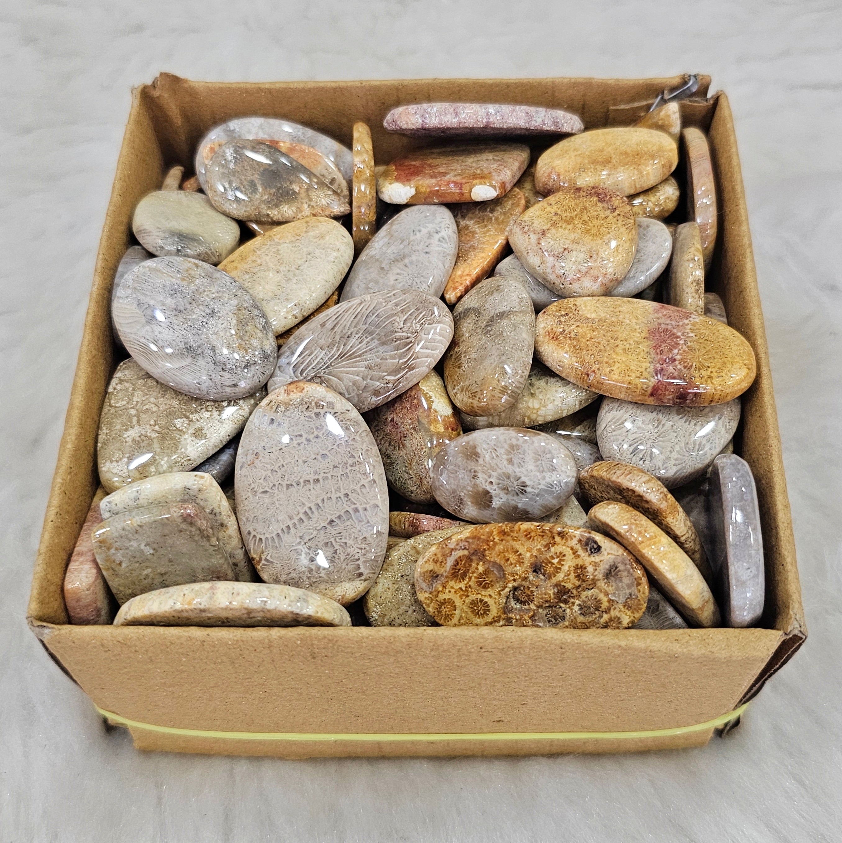1KG Natural FosilJasper | 1"-3" Inches  | 90-110 Pcs approx - The LabradoriteKing