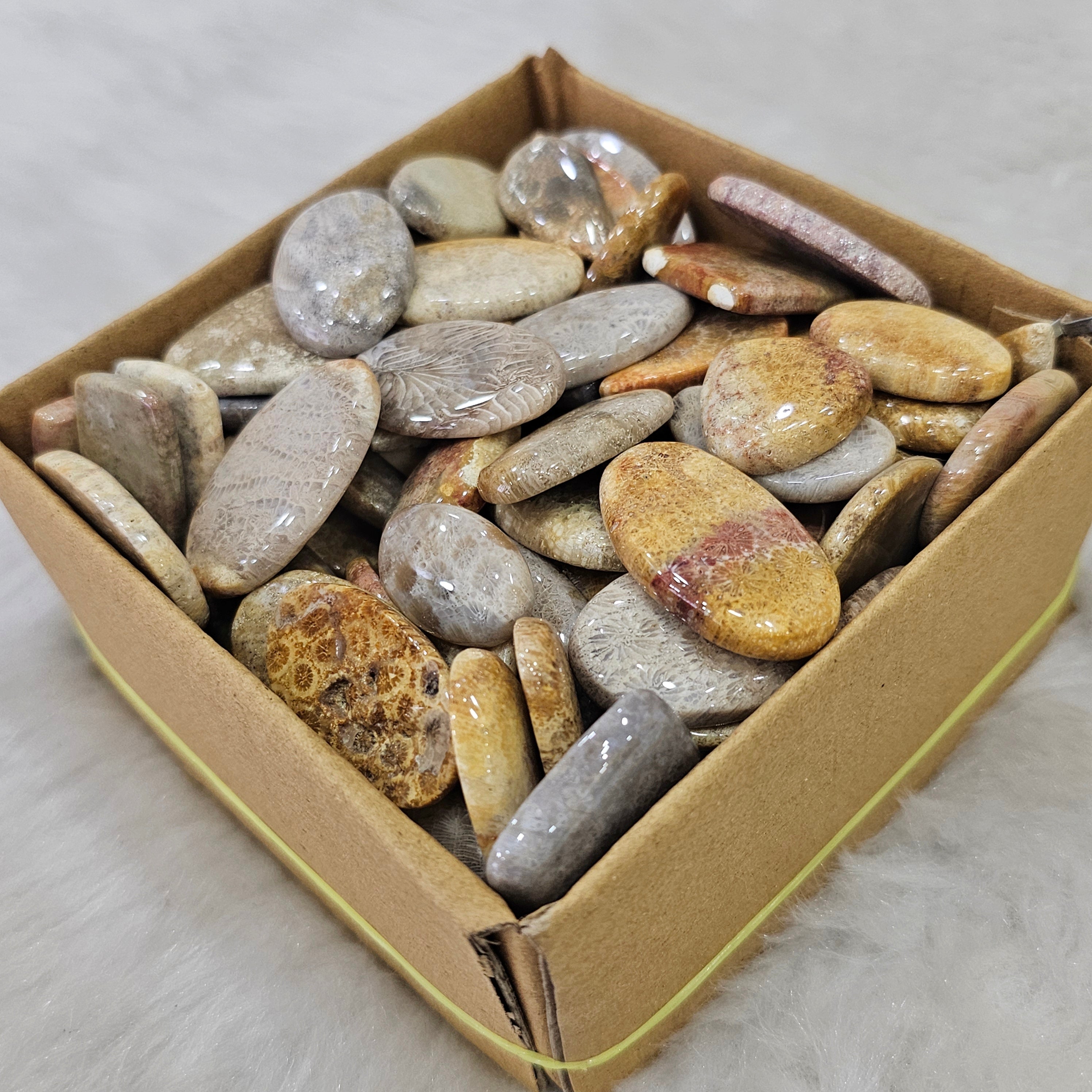 1KG Natural FosilJasper | 1"-3" Inches  | 90-110 Pcs approx - The LabradoriteKing