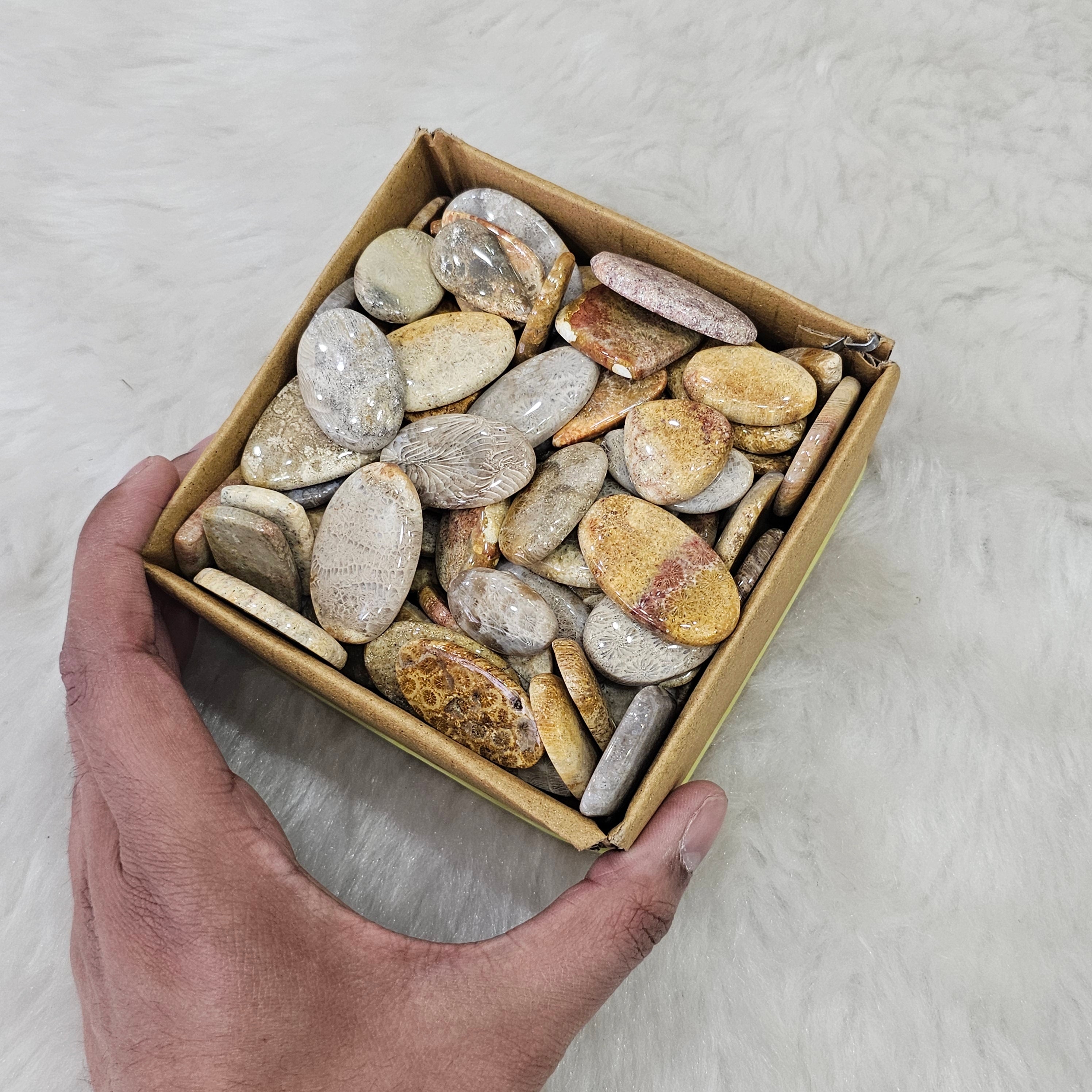 1KG Natural FosilJasper | 1"-3" Inches  | 90-110 Pcs approx - The LabradoriteKing