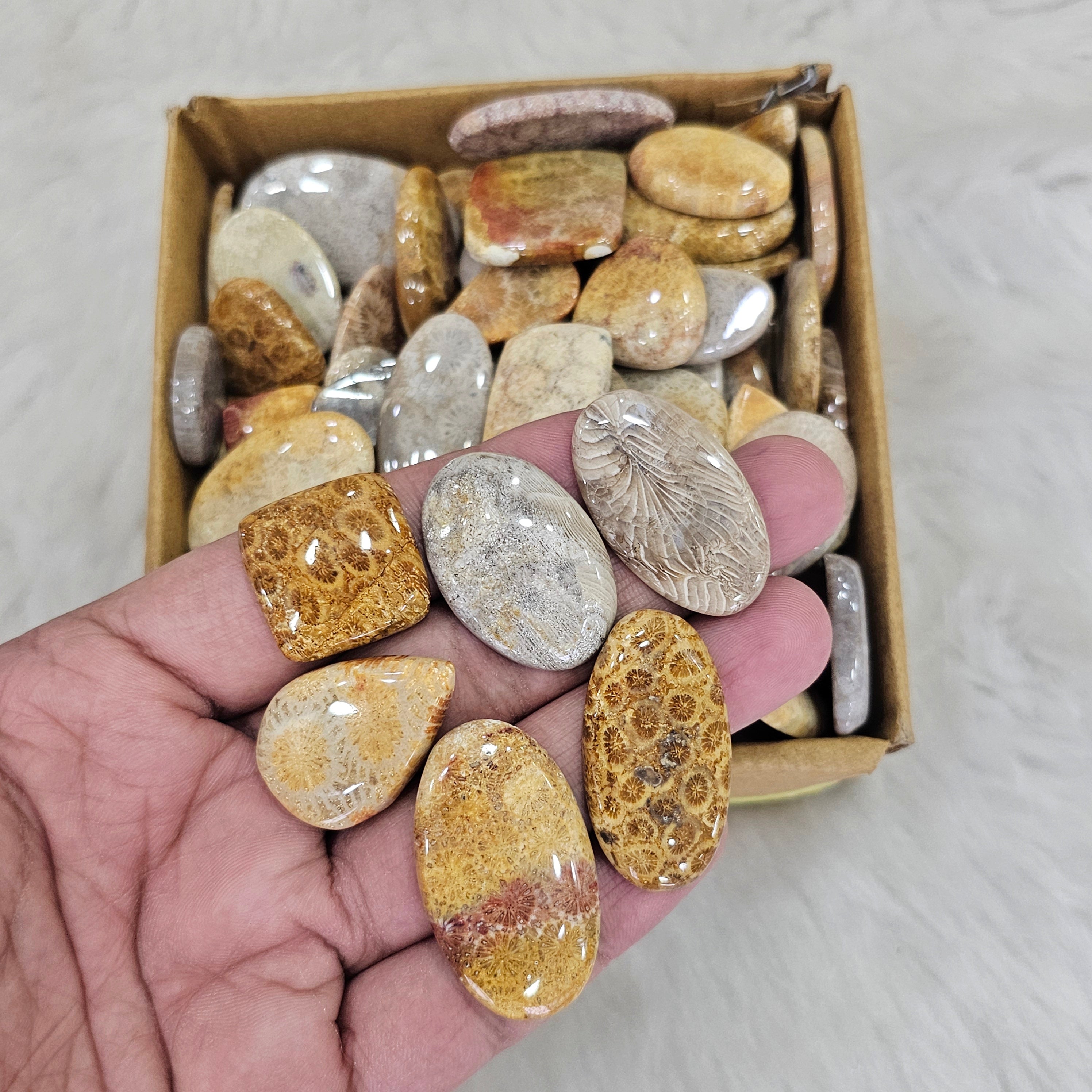 1KG Natural FosilJasper | 1"-3" Inches  | 90-110 Pcs approx - The LabradoriteKing