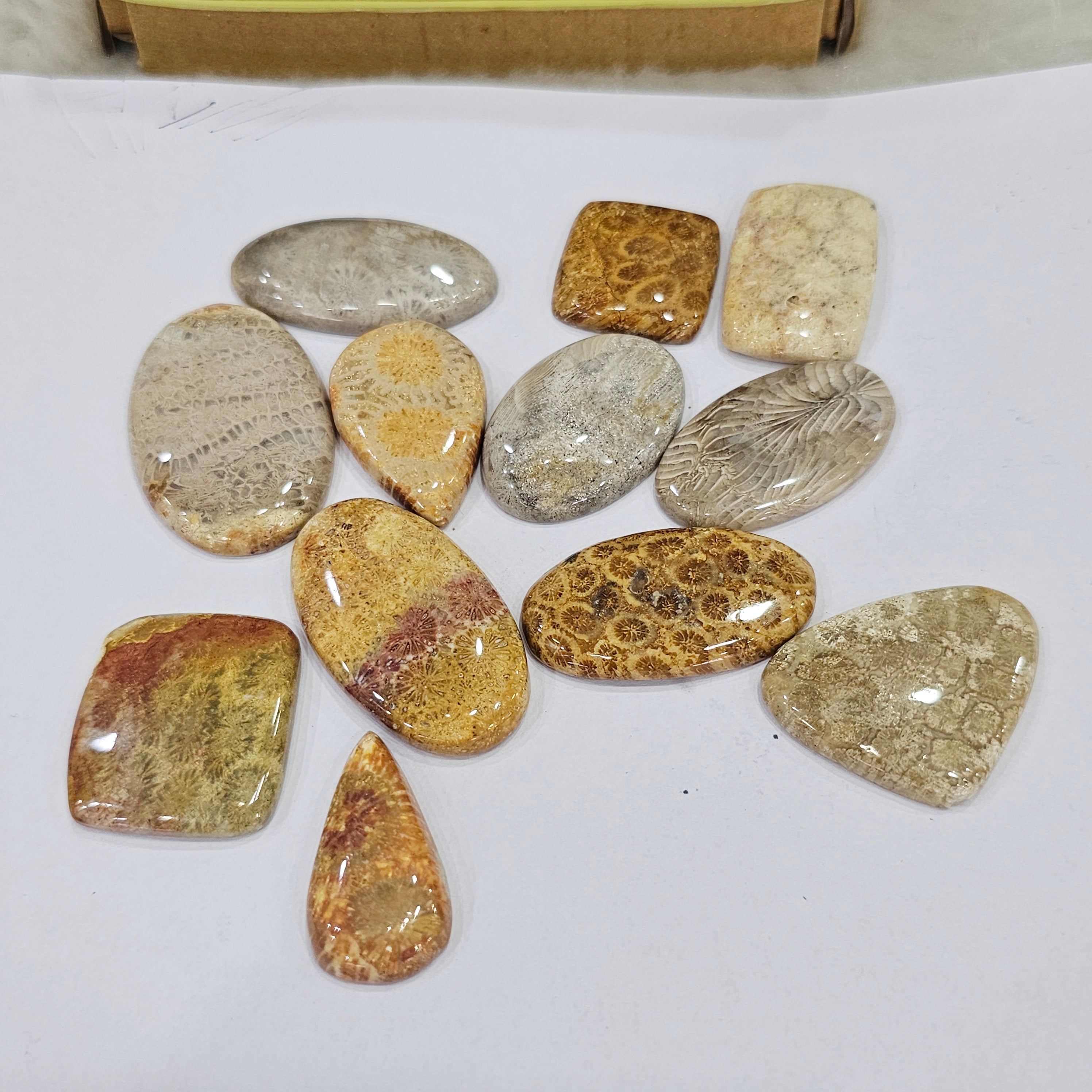 1KG Natural FosilJasper | 1"-3" Inches  | 90-110 Pcs approx - The LabradoriteKing