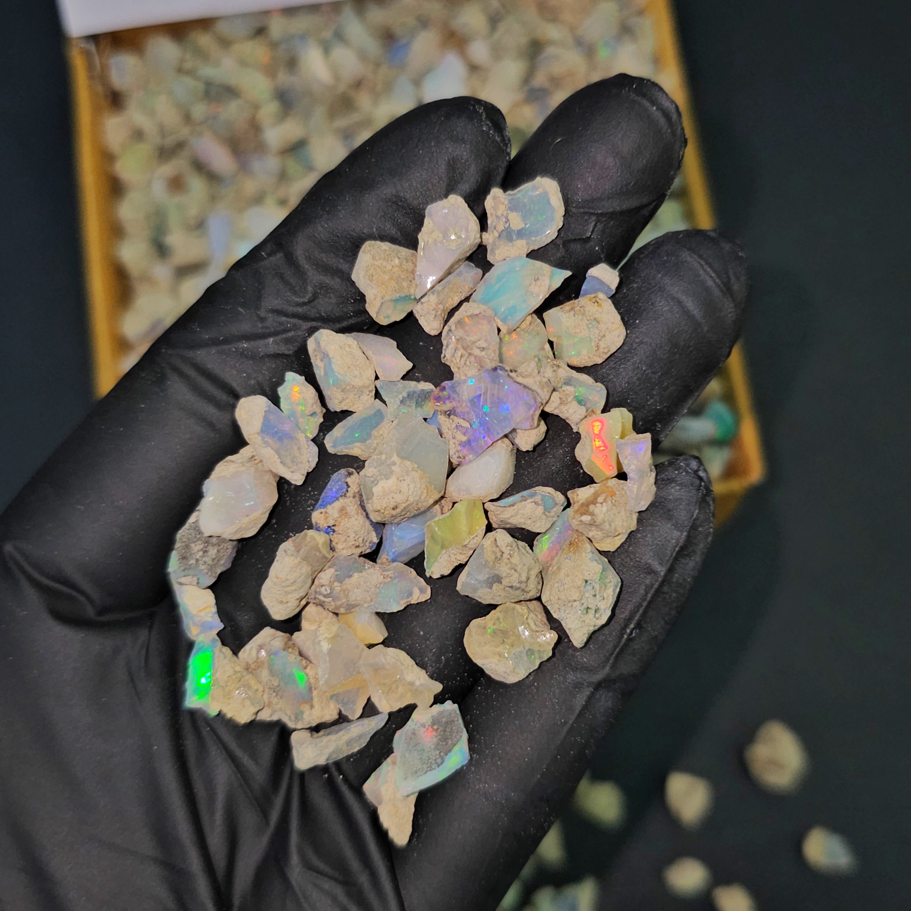 500 Grams of Welo Mined Raw Opal Box | Natural Earth Mined | 2000 Pieces - The LabradoriteKing
