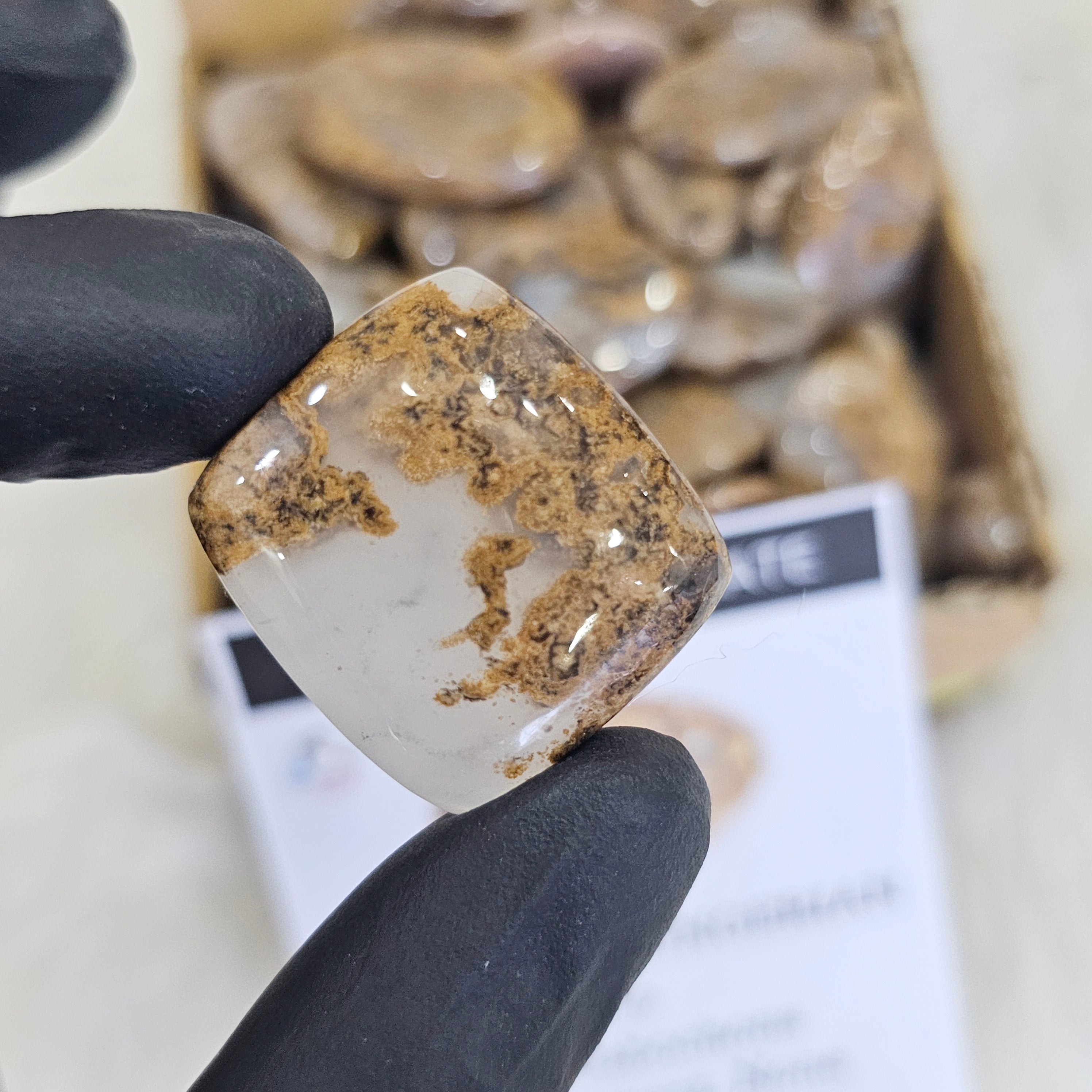 1KG Plume Hunerian moss Agate Cabochons | 90-110Pcs | 1'' to 2''Inches - The LabradoriteKing