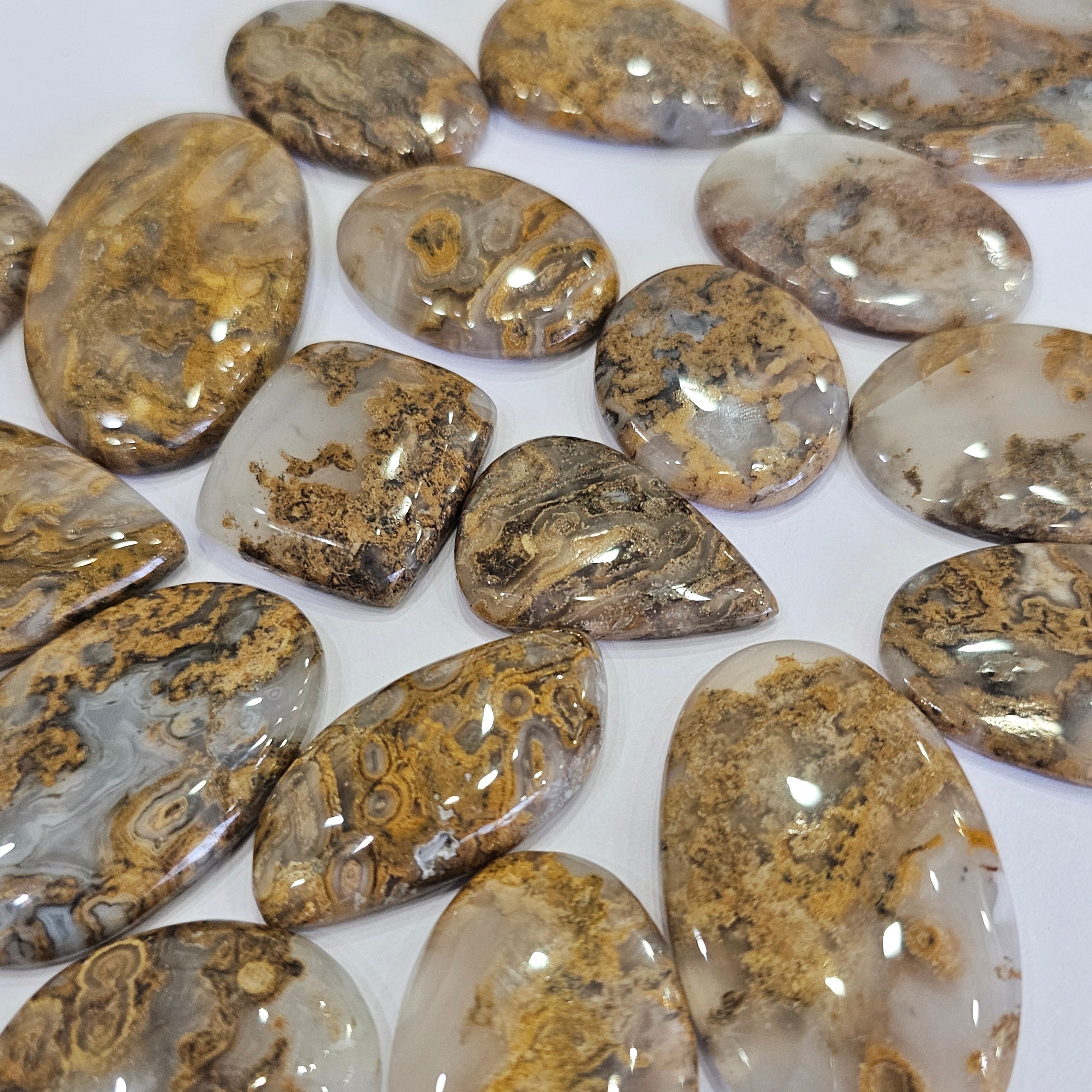 1KG Plume Hunerian moss Agate Cabochons | 90-110Pcs | 1'' to 2''Inches - The LabradoriteKing