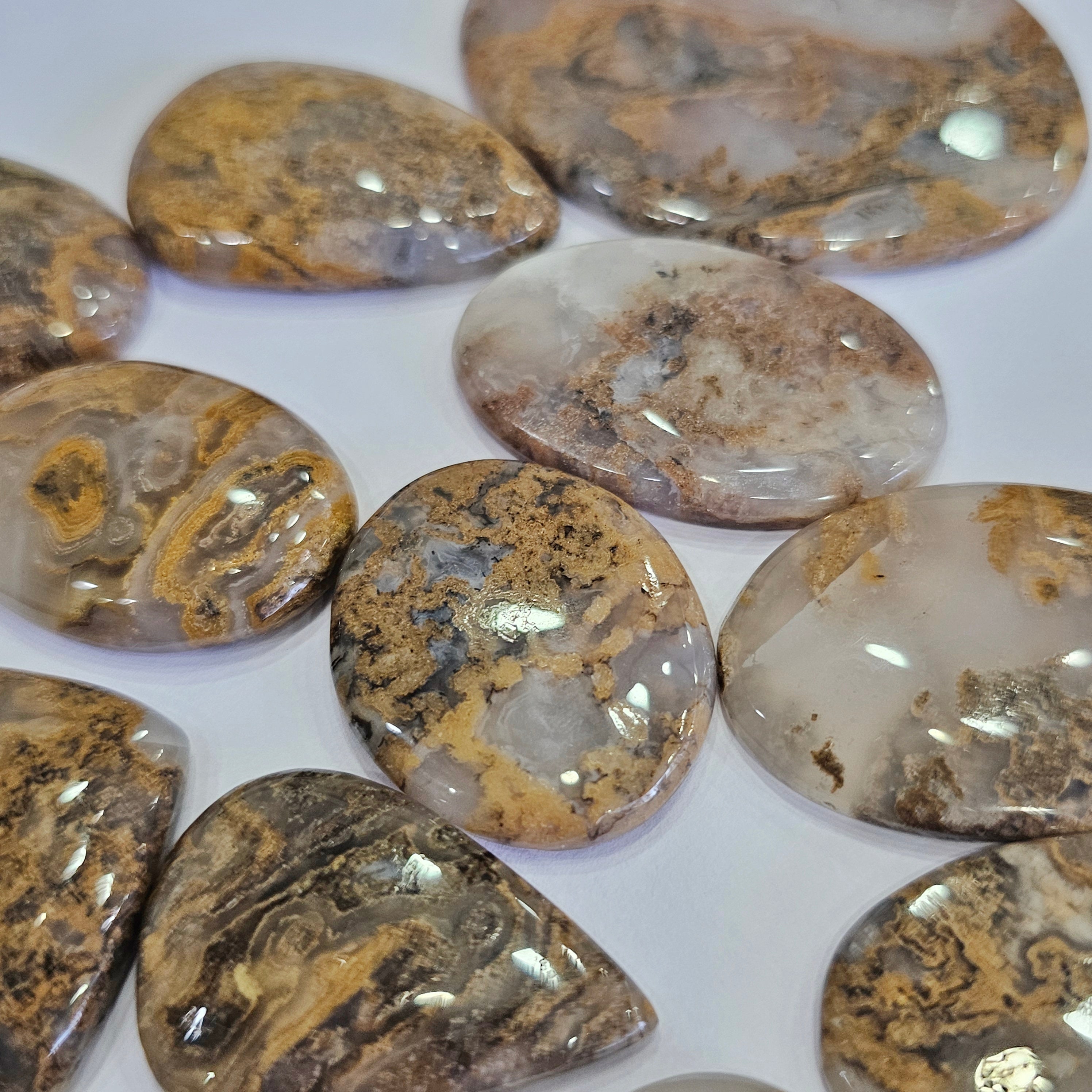 1KG Plume Hunerian moss Agate Cabochons | 90-110Pcs | 1'' to 2''Inches - The LabradoriteKing