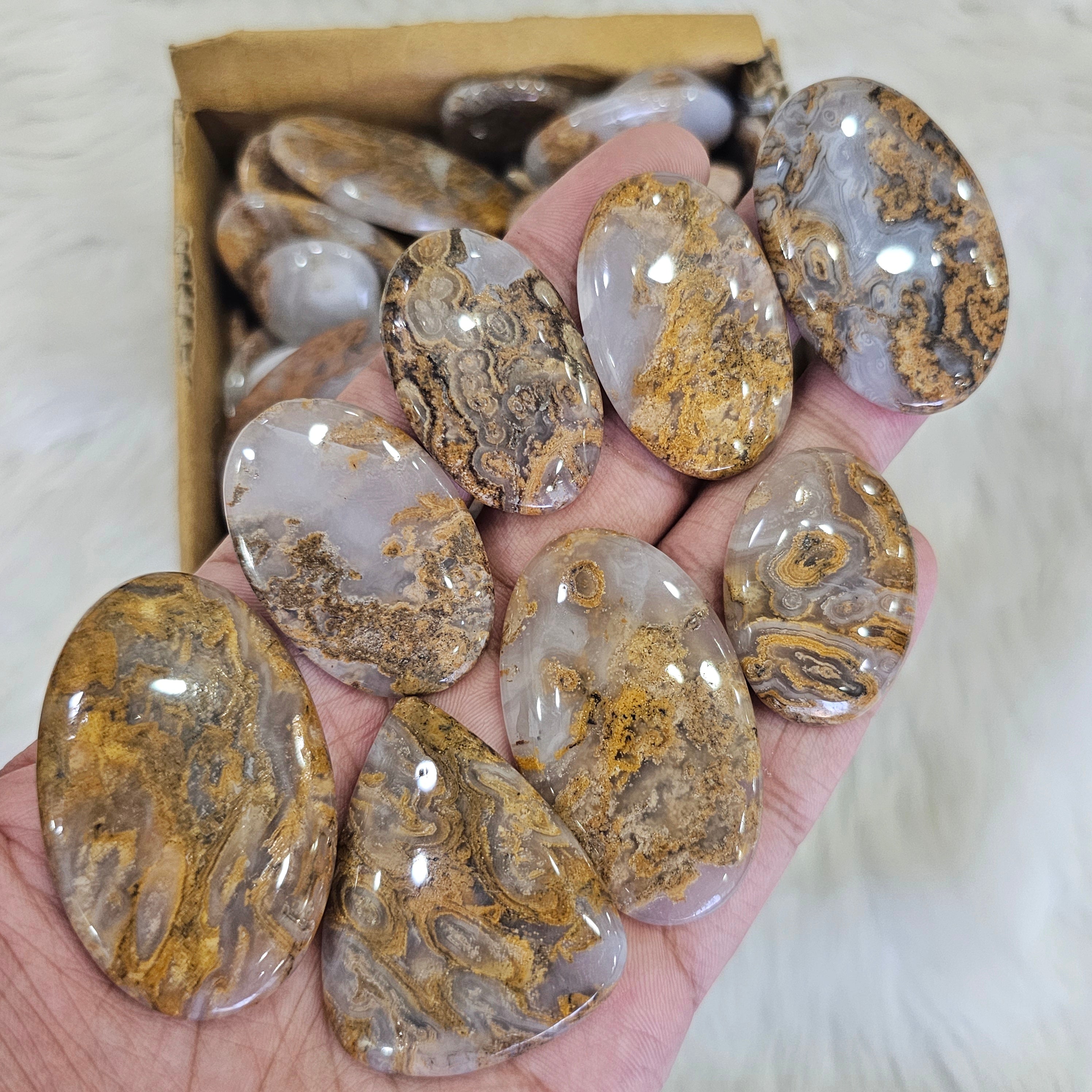 1KG Plume Hunerian moss Agate Cabochons | 90-110Pcs | 1'' to 2''Inches - The LabradoriteKing