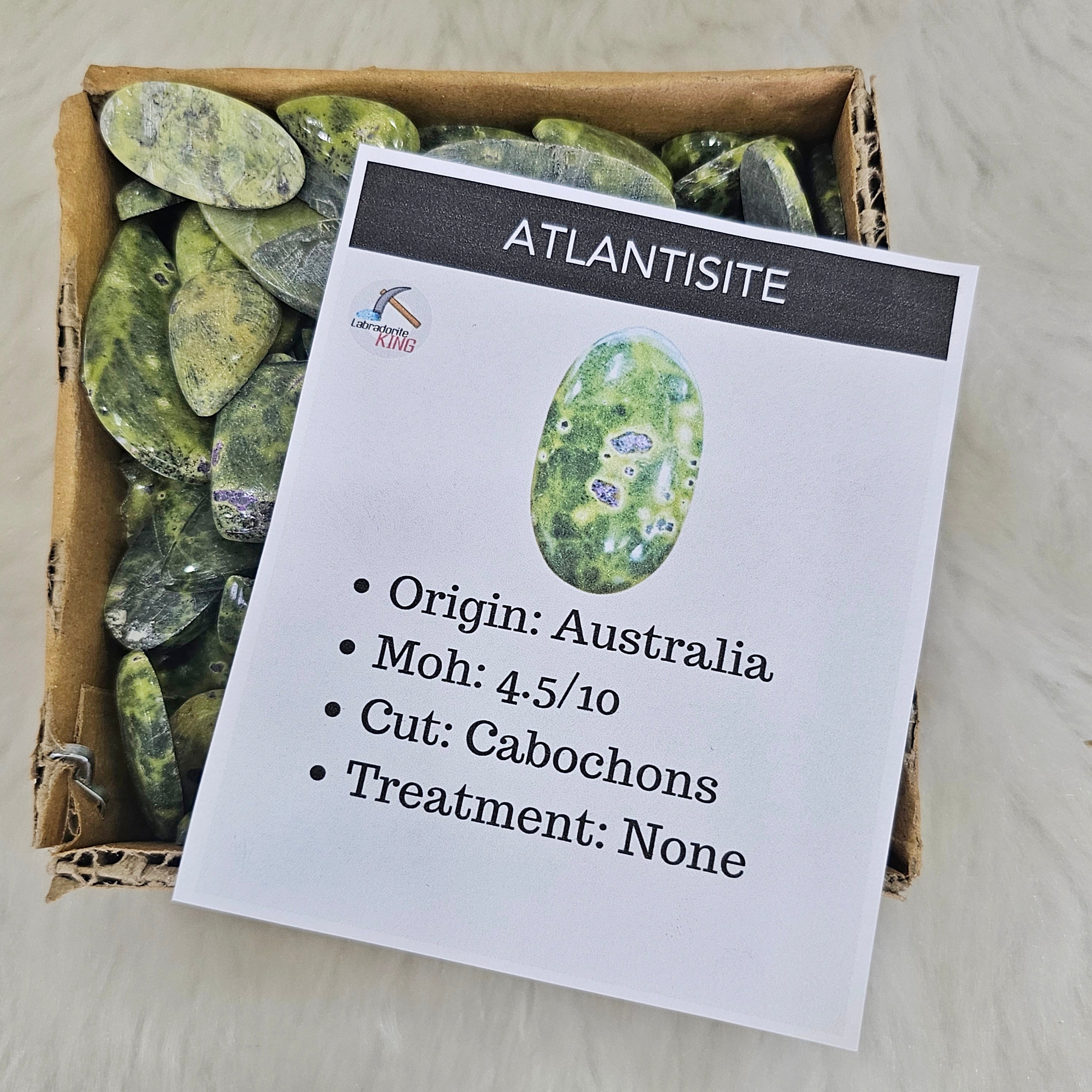 500g / 1kg Atlantisite Cabochons | 120-140Pcs Approx | 18mm to 50mm | Natural Gemstone - The LabradoriteKing
