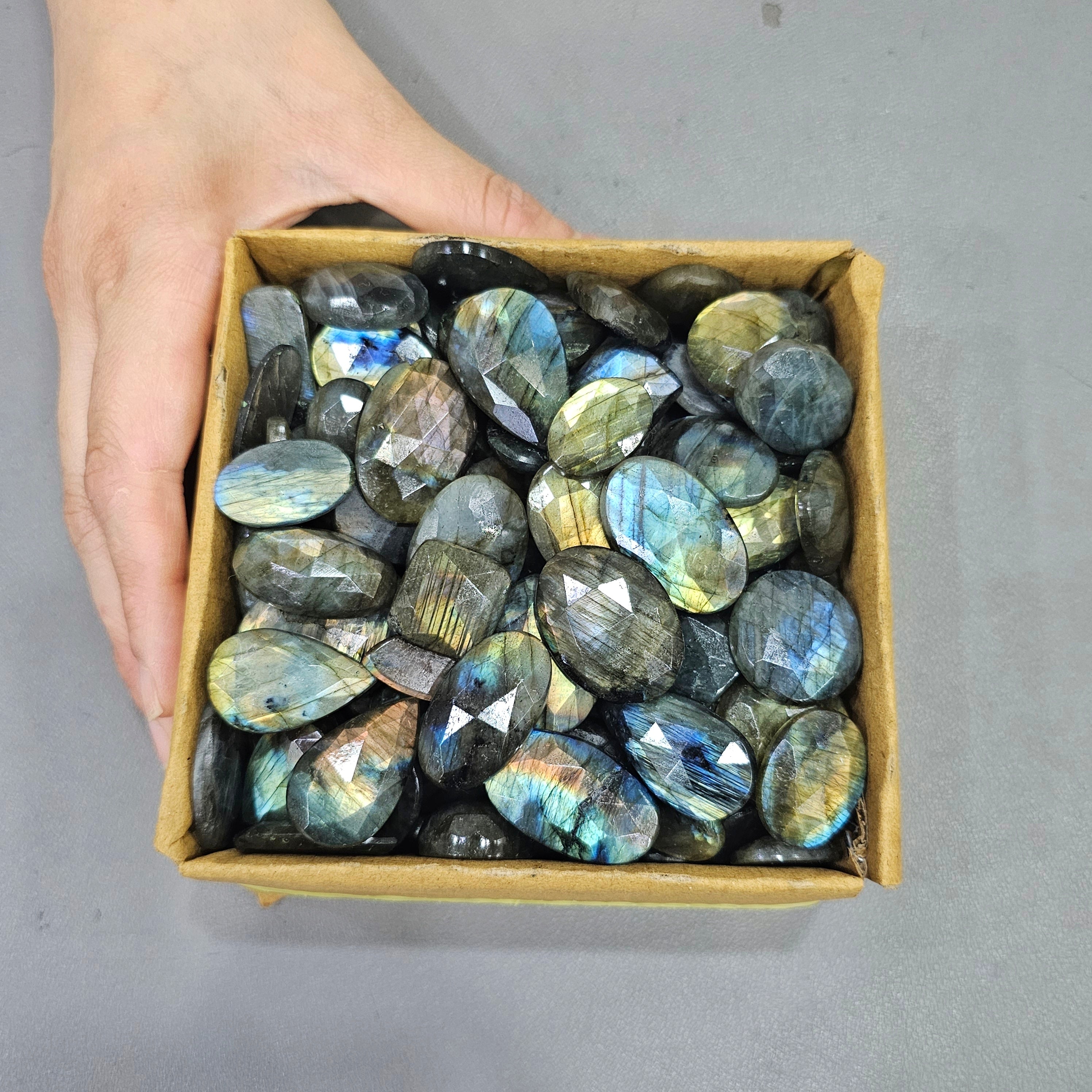 50 of Labradorite Rosecuts with flat backs | 17 to 30mm - The LabradoriteKing