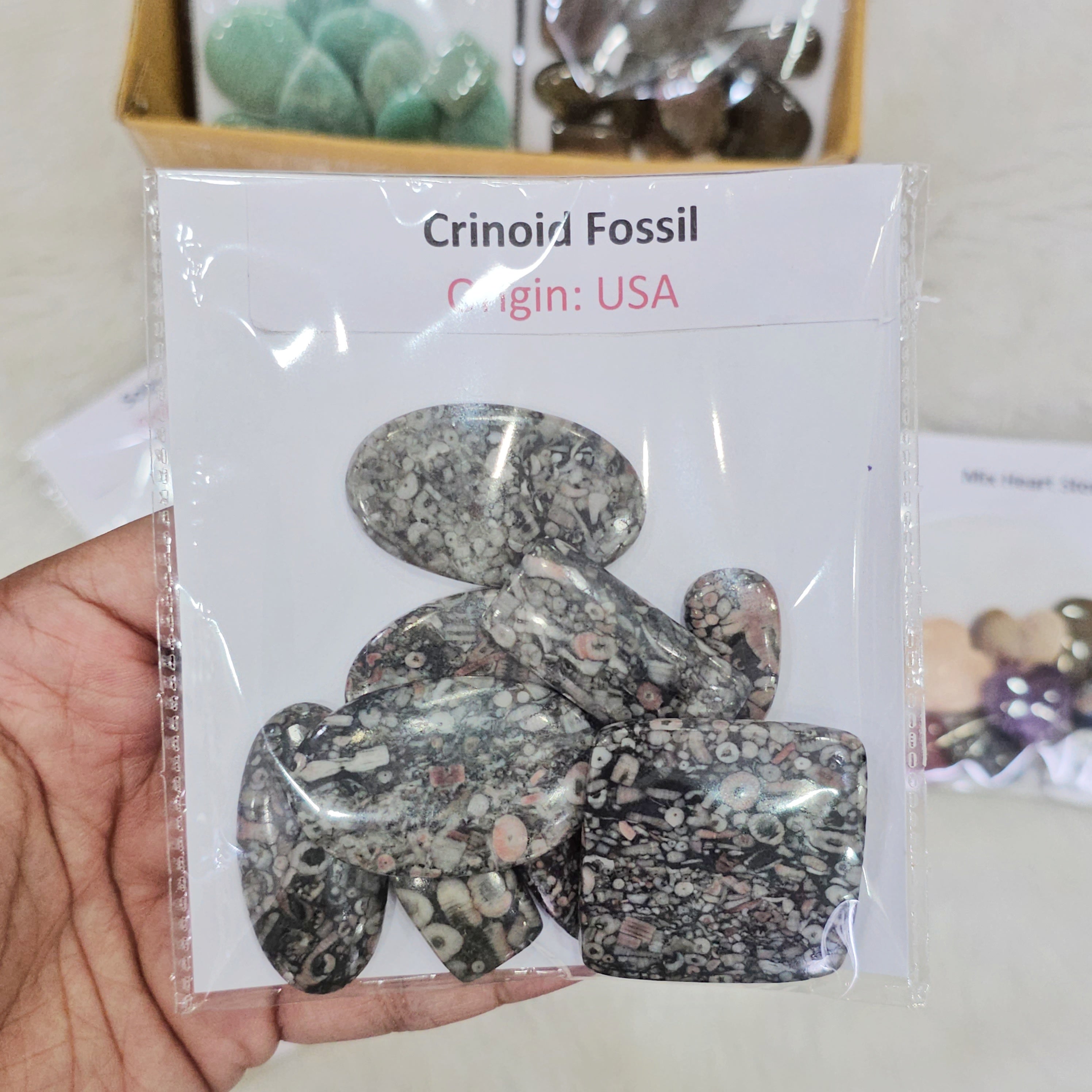 Gemstone curated Box | 1 KG Cabochon Box | 100 +Pcs - The LabradoriteKing