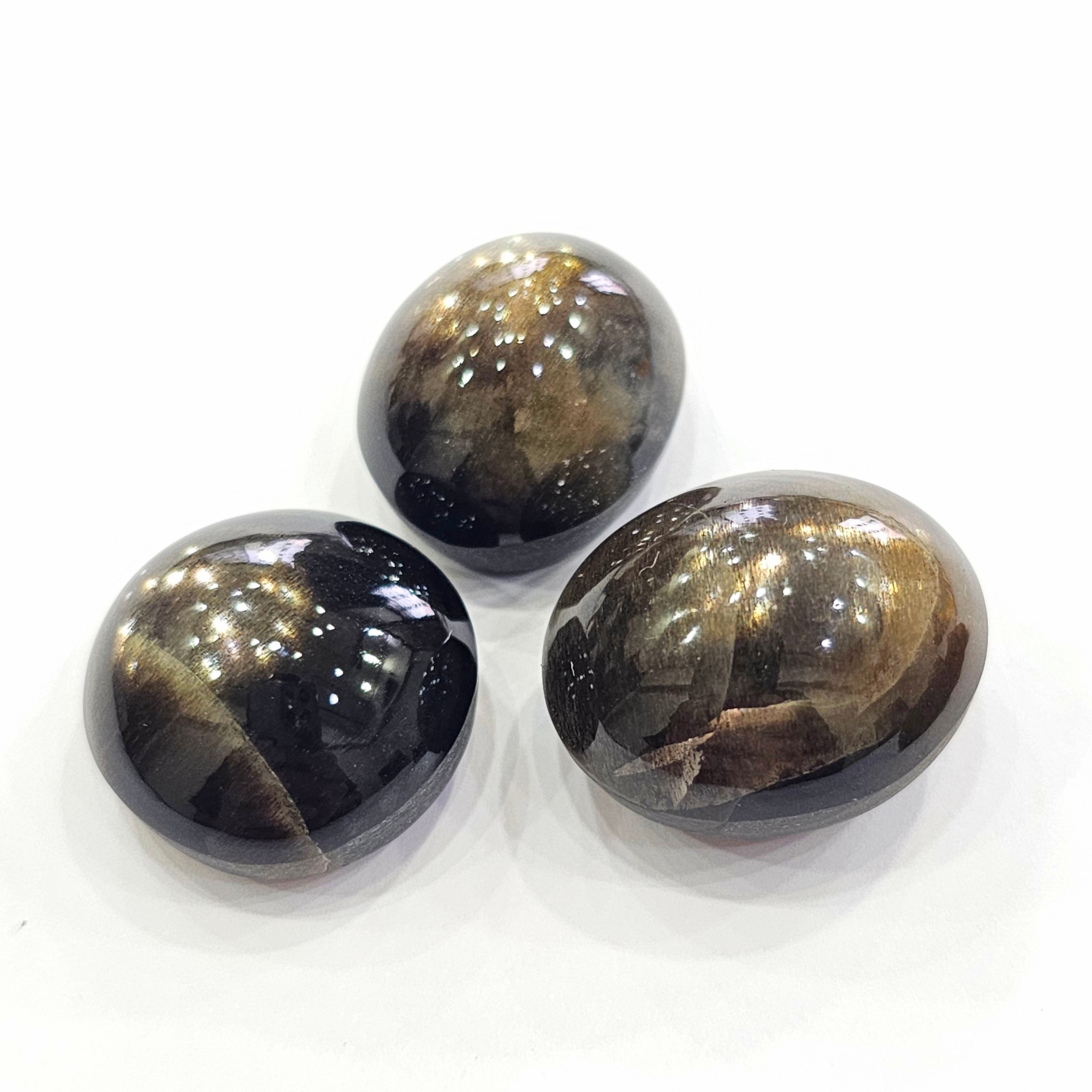 3pcs Black Stare Supphire From Thailand | Mix Shape | Size:22-24mm - The LabradoriteKing