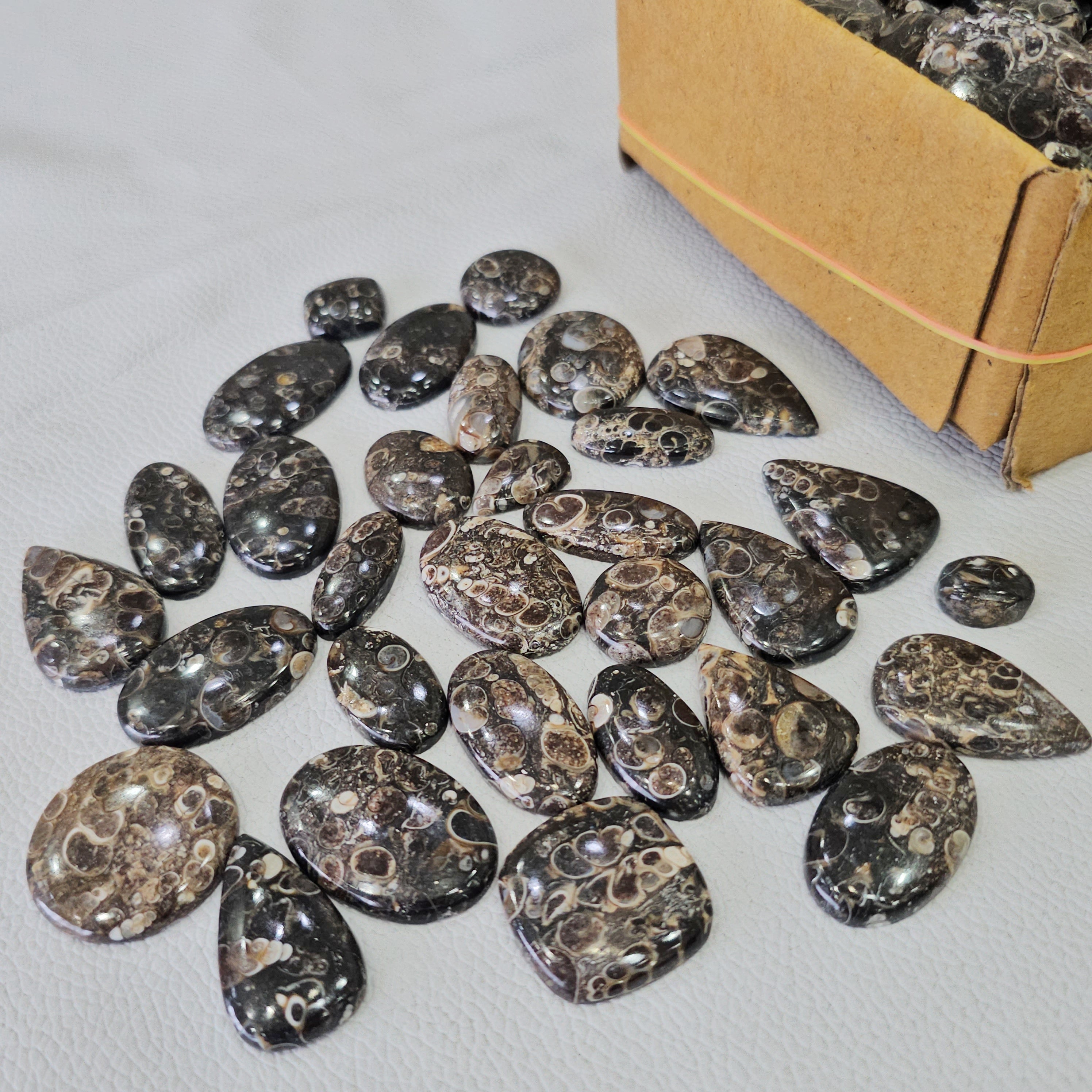 500 Grams of Turrietella Agate | 15–40mm | 90–100 Pcs - The LabradoriteKing