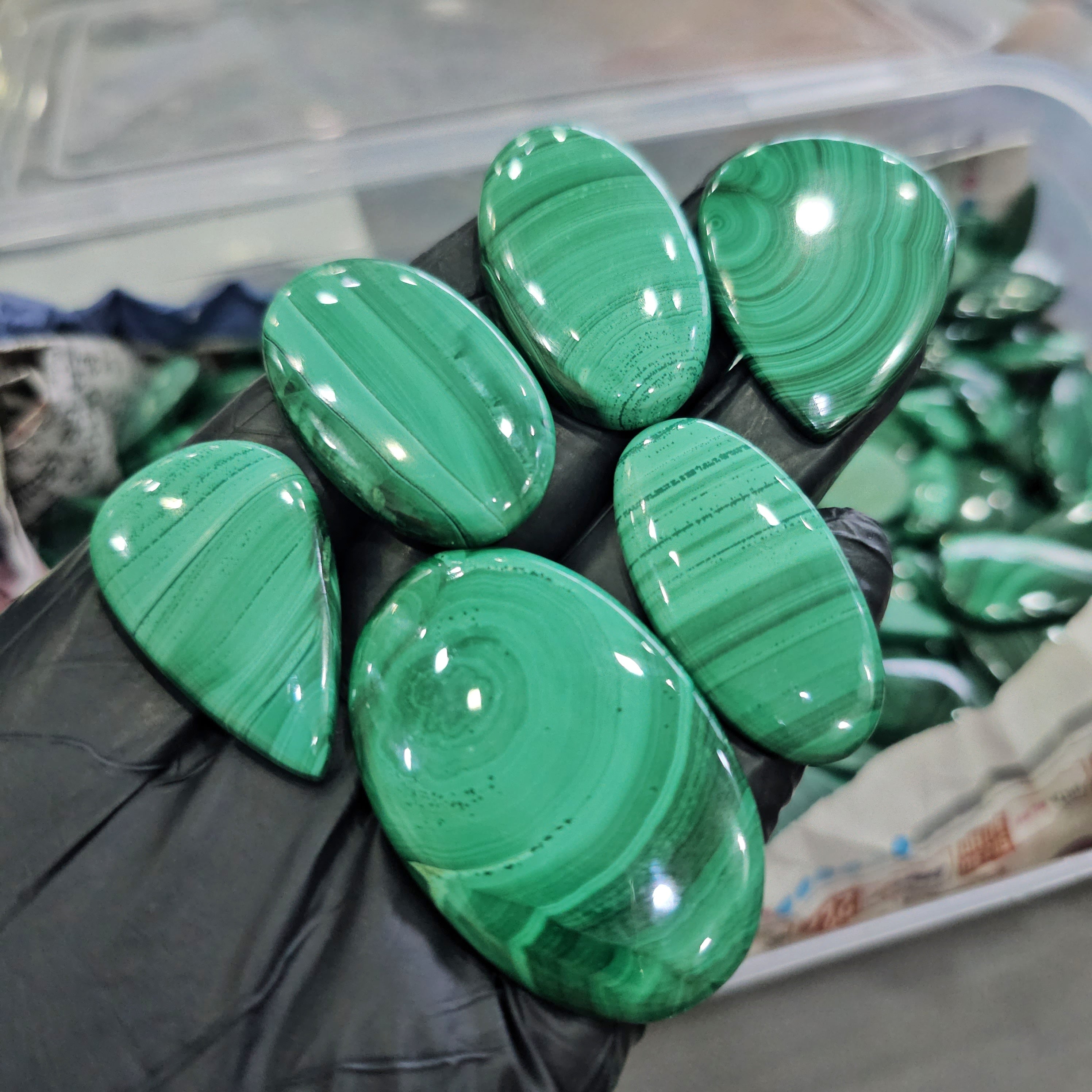 500 Grams Natural Light Lace Green Malachite  | 18–55mm | 40–50 Pcs | Polished Cabs - The LabradoriteKing