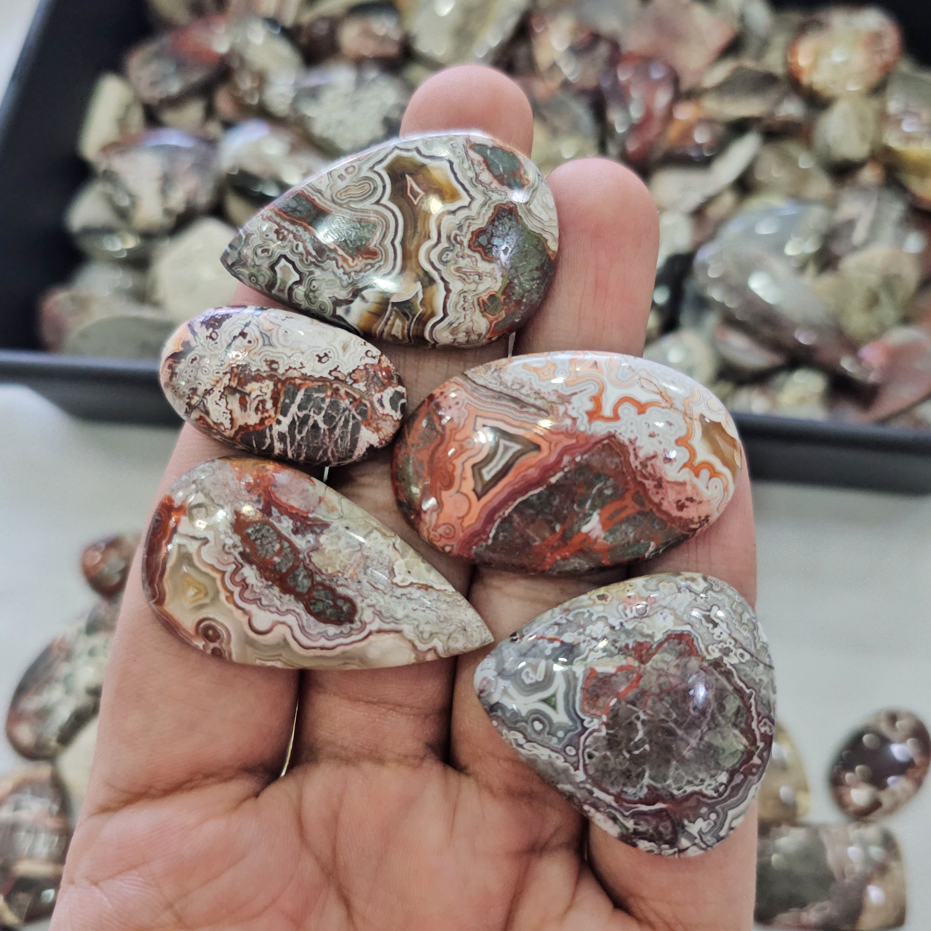 500 Grams of Natural Mexican Crazy Lace Agate Cabochons | 22ā45mm | 50ā70 Pcs - The LabradoriteKing