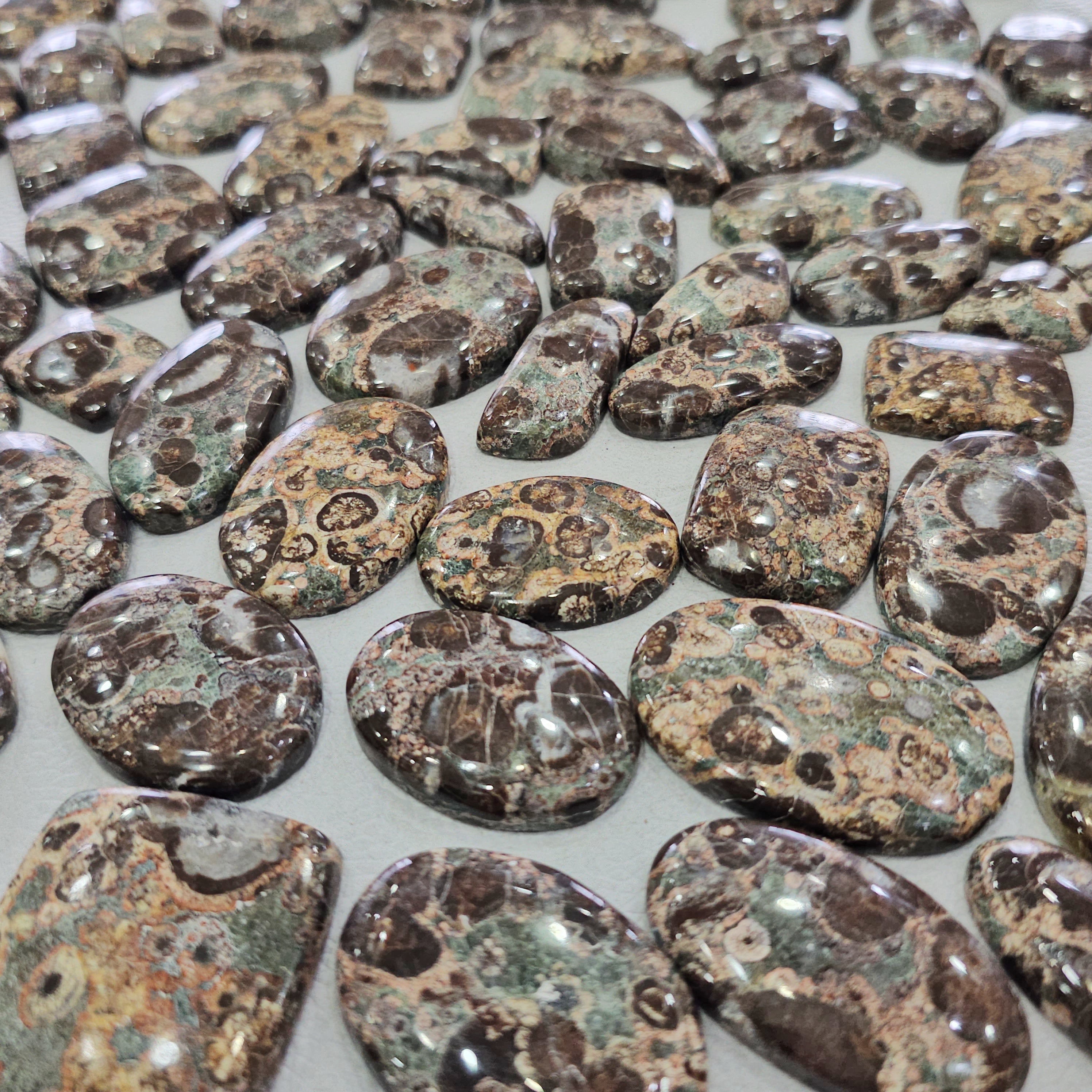 100 Grams RARE Natural Crocodile Jasper Cabochons | 25β48 mm | 10 Pcs Appro - The LabradoriteKing