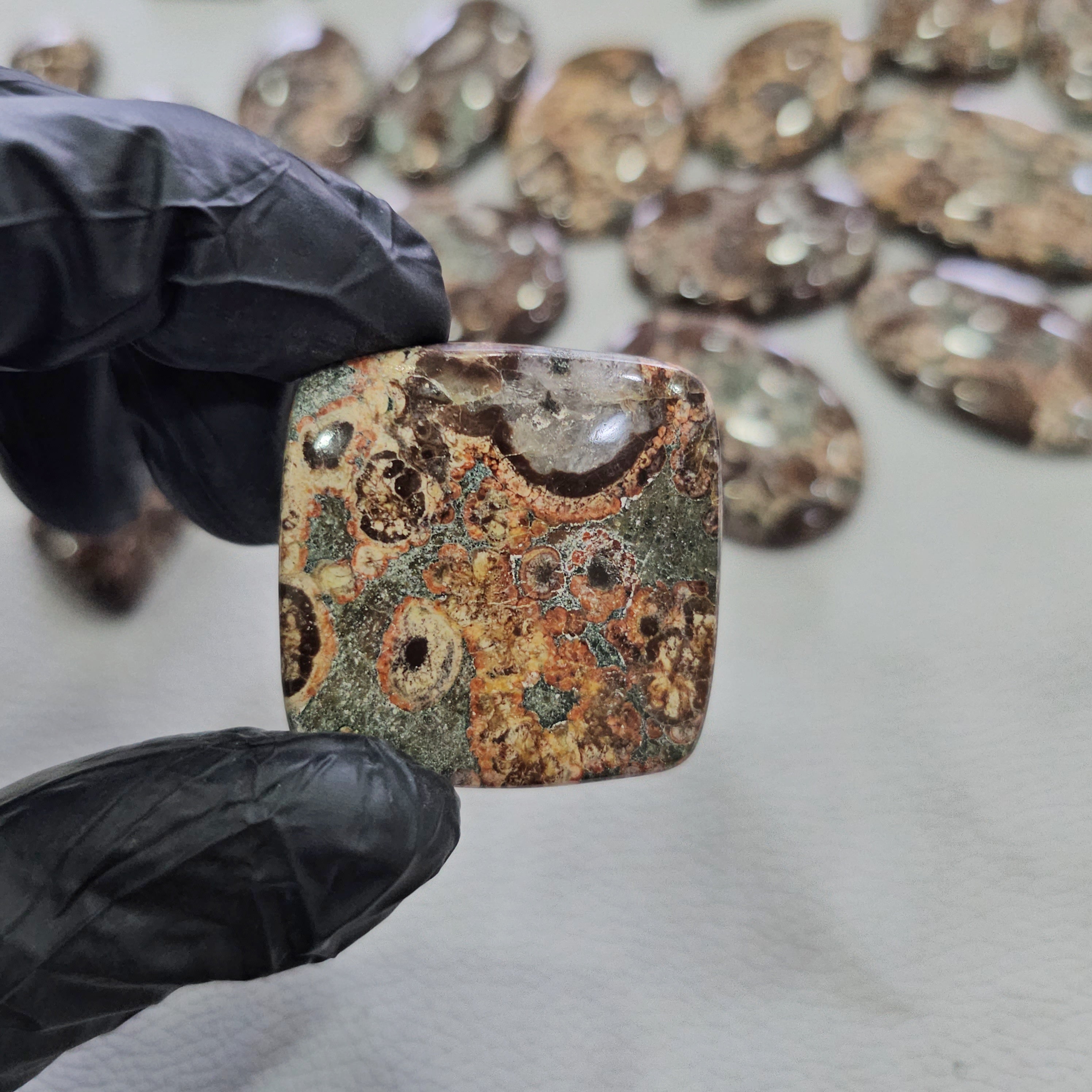 100 Grams RARE Natural Crocodile Jasper Cabochons | 25β48 mm | 10 Pcs Appro - The LabradoriteKing