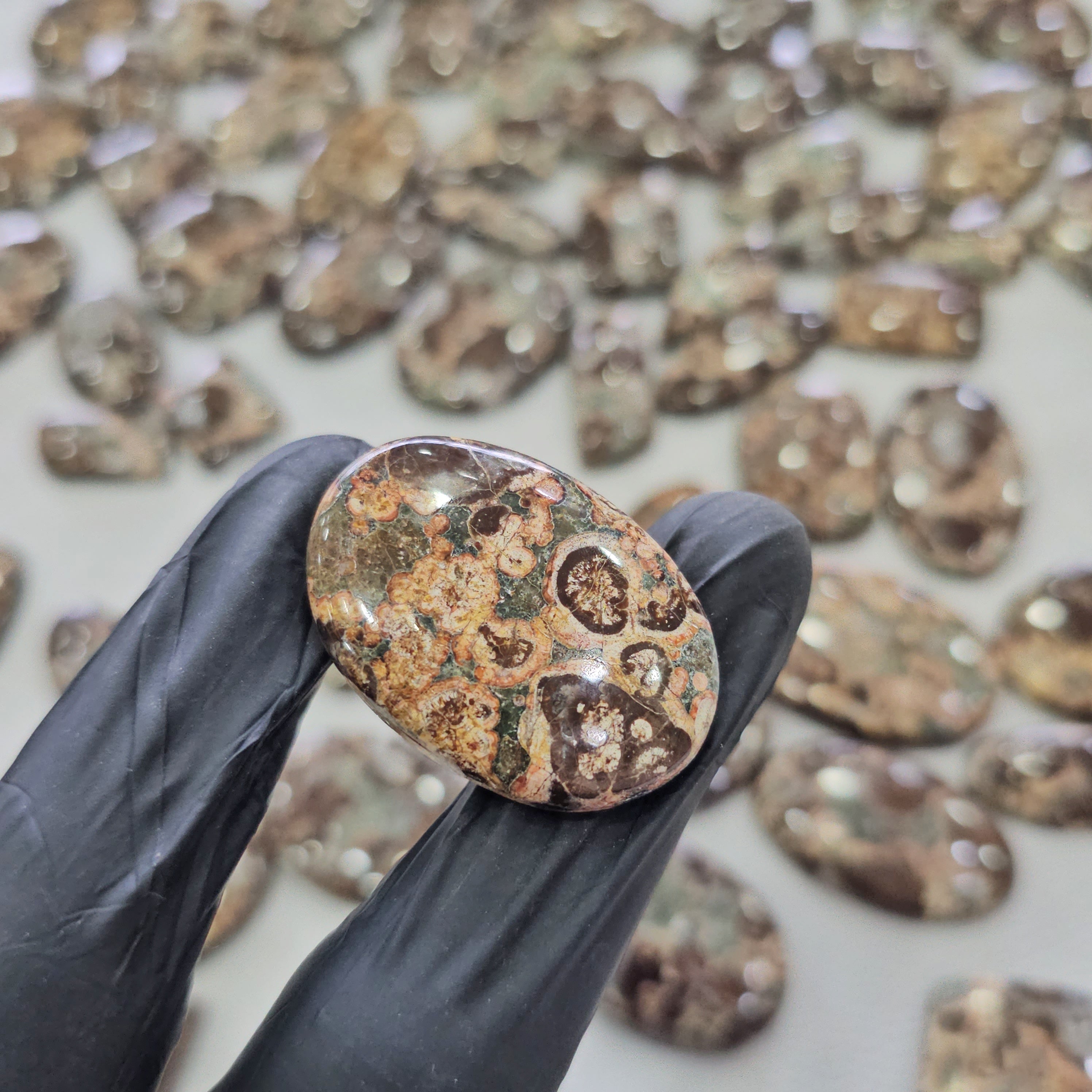 100 Grams RARE Natural Crocodile Jasper Cabochons | 25β48 mm | 10 Pcs Appro - The LabradoriteKing