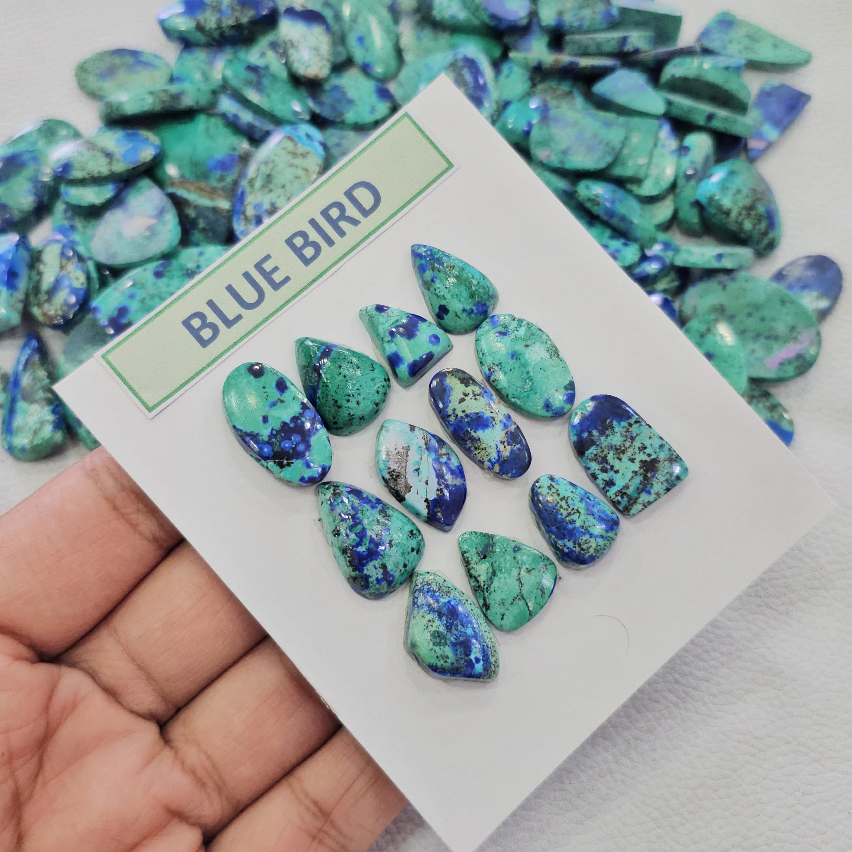 1 Card Natural Blue Bird Azurite Cabochons | 10–22 mm | Mixed Shapes