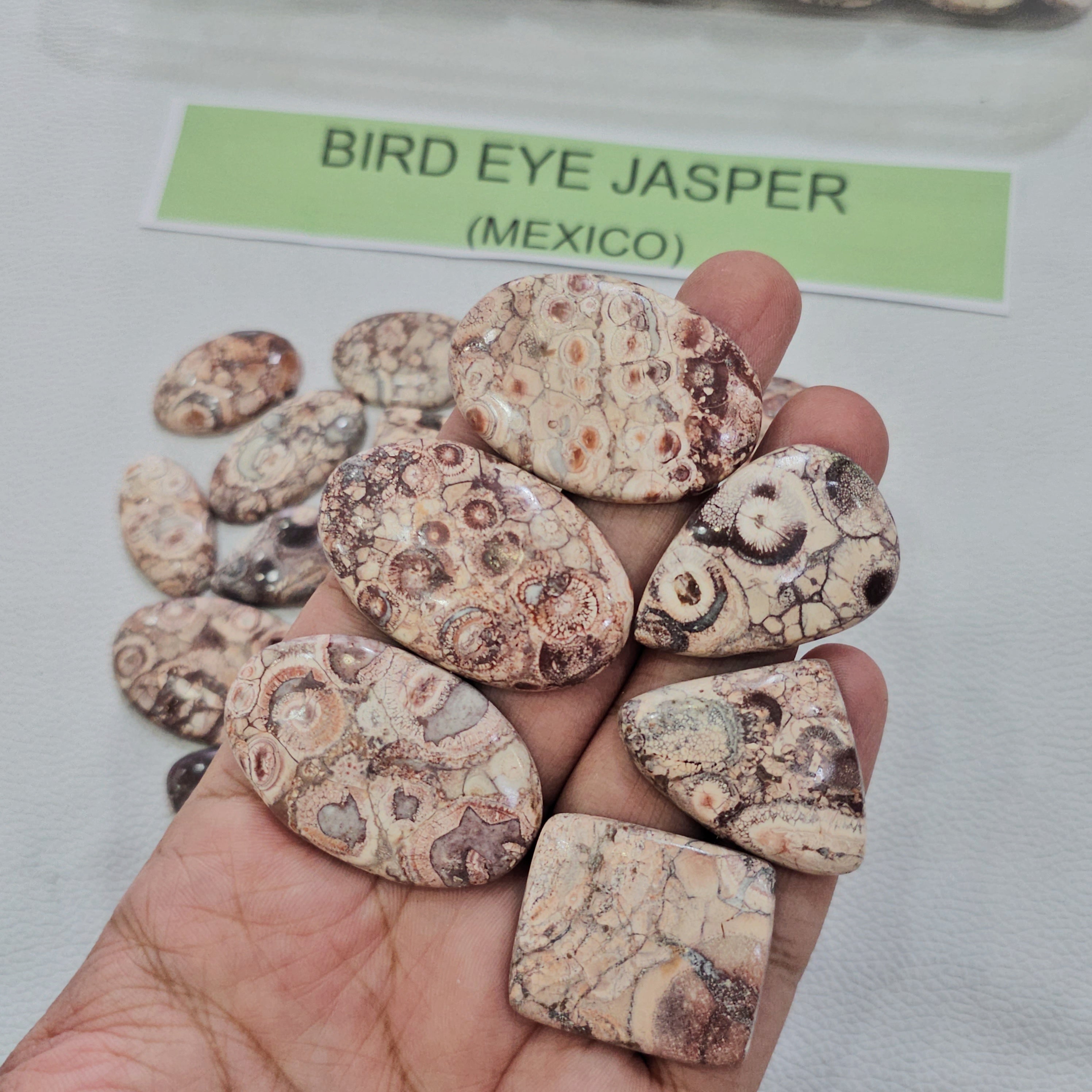 100 Grams Natural Bird Eye Jasper Gemstones | 15–20 Pcs | 15–45mm | Unique Pattern Stones - The LabradoriteKing