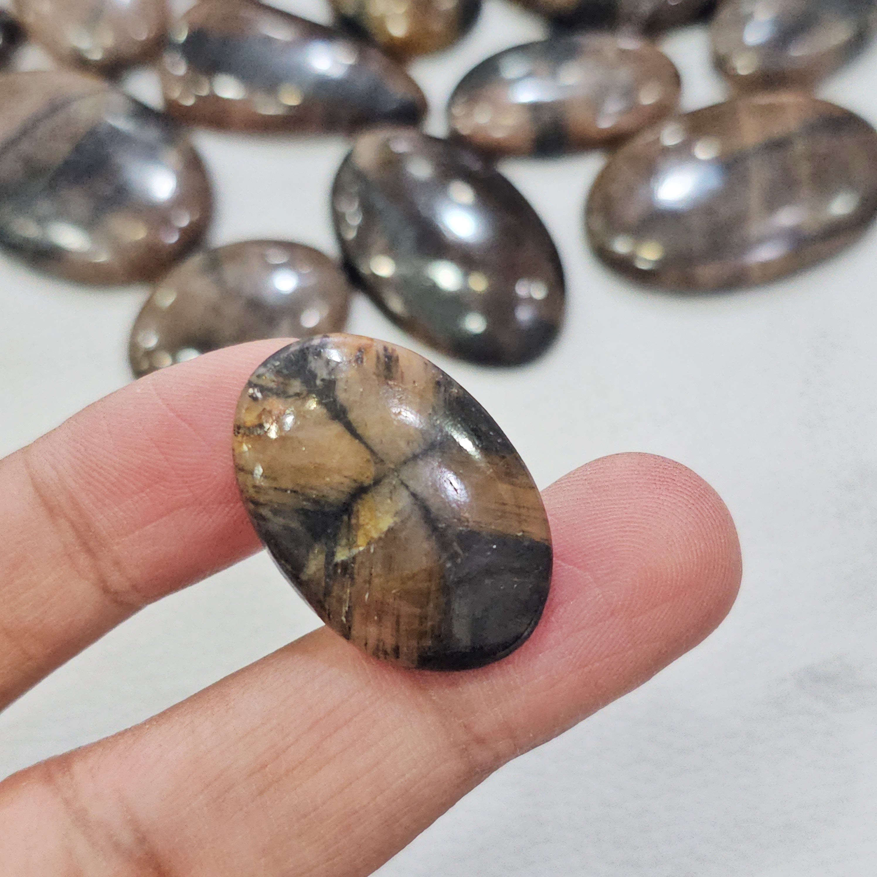 100 Grams Natural Chiastolite Trapiche Gemstones | 12 Pcs (Approx.) | 15–45mm | Cross Pattern Stones - The LabradoriteKing