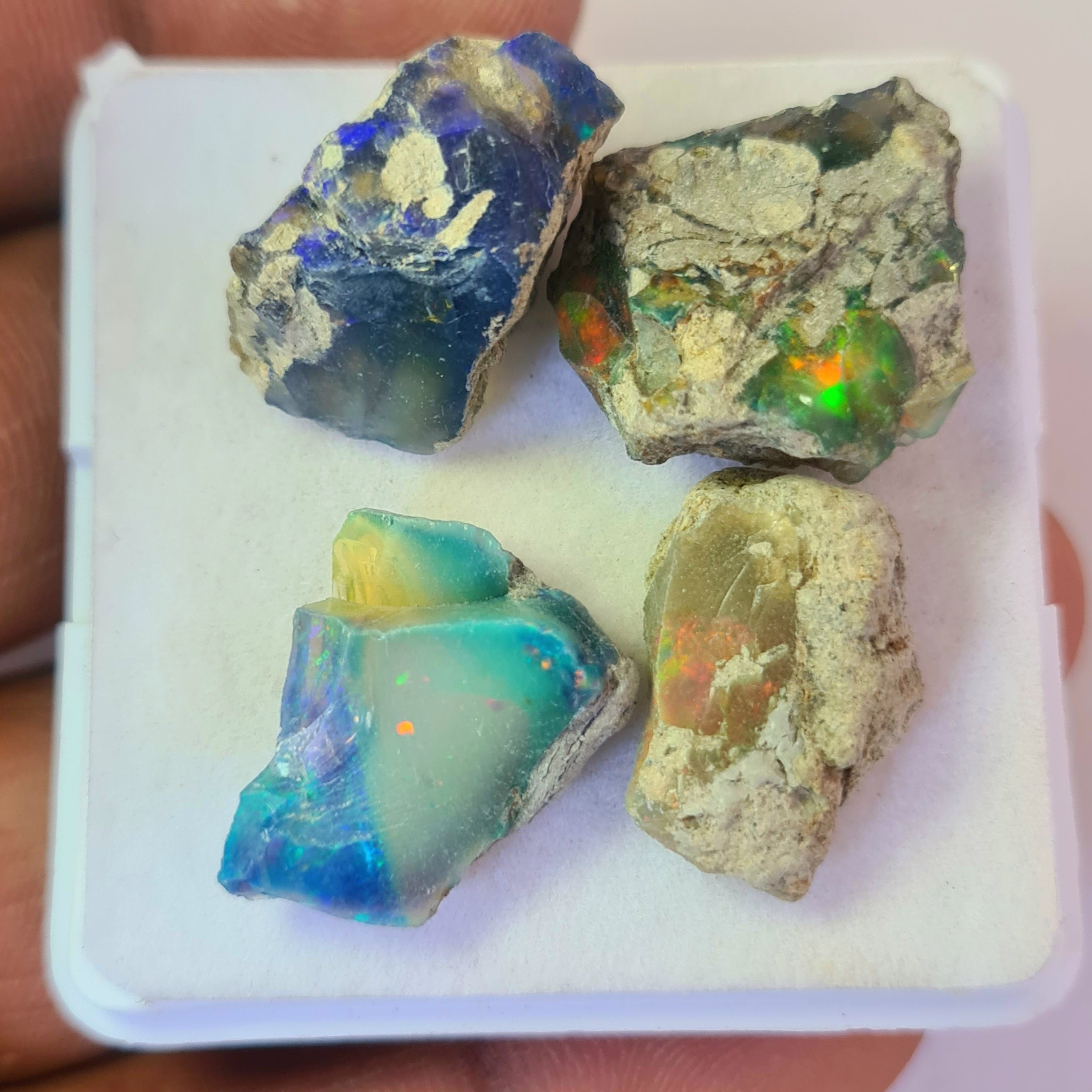 4 Pcs Natural Black Opal Rough | Sizes: 15-20mm - The LabradoriteKing