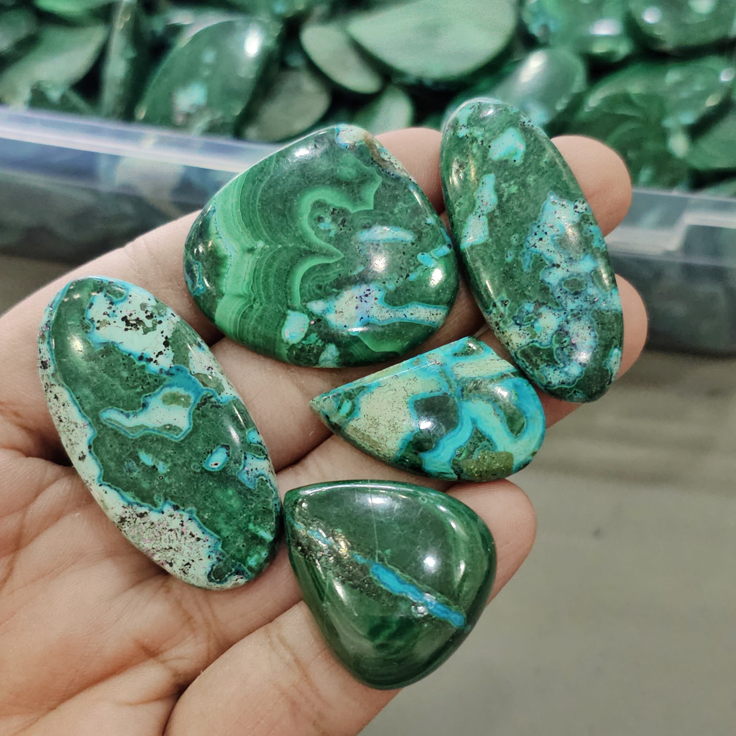 250 Gram of Natural Malachite Chrysocolla Cabochons | 1-2" Inches | 20-25Pcs | Top Quality - The LabradoriteKing