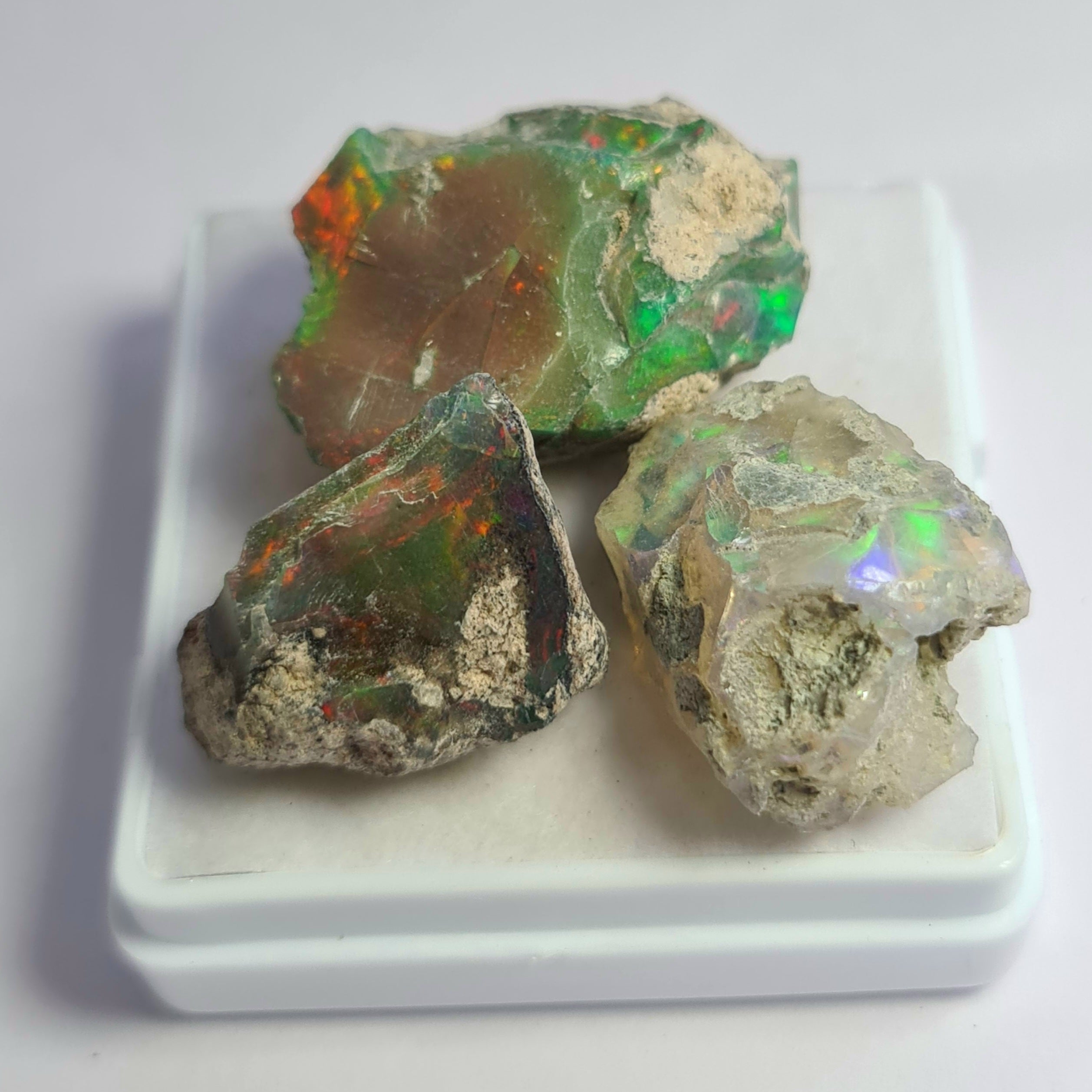 3 Pcs of Natural Black Opal Rough | Sizes: 18-27mm