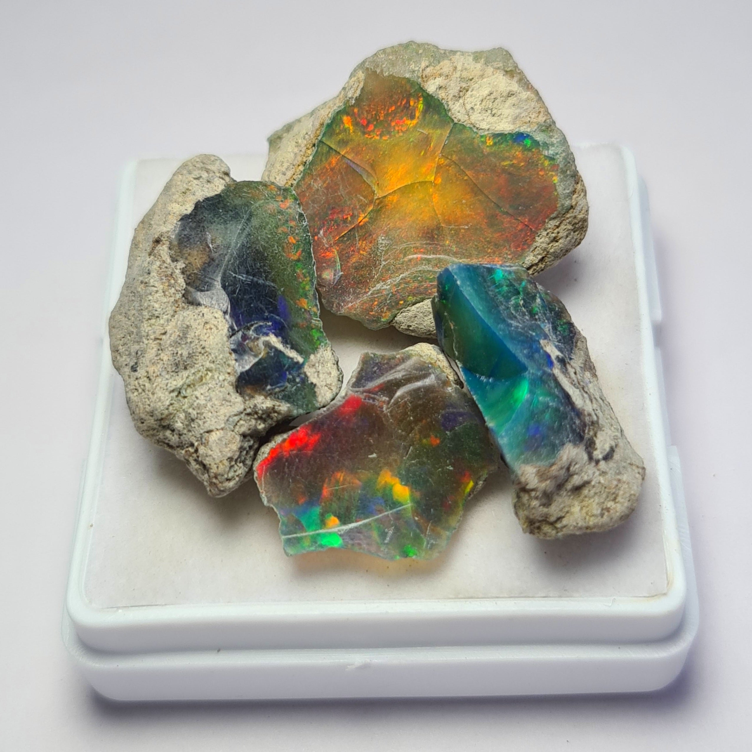 4 Pcs of Natural Black Opal Rough | Sizes: 15-21mm