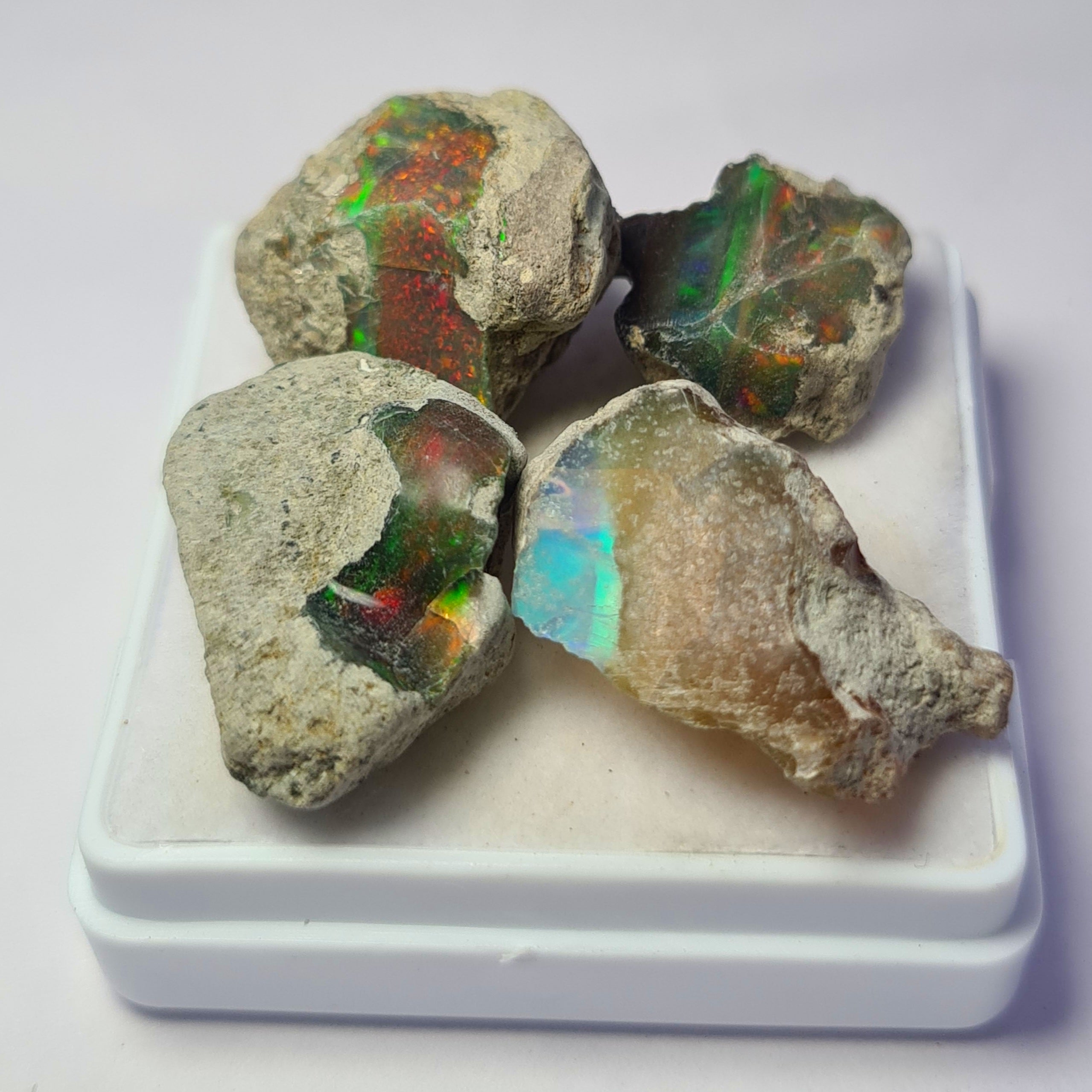 4 Pcs of Natural Black Opal Rough | Sizes: 15-23mm
