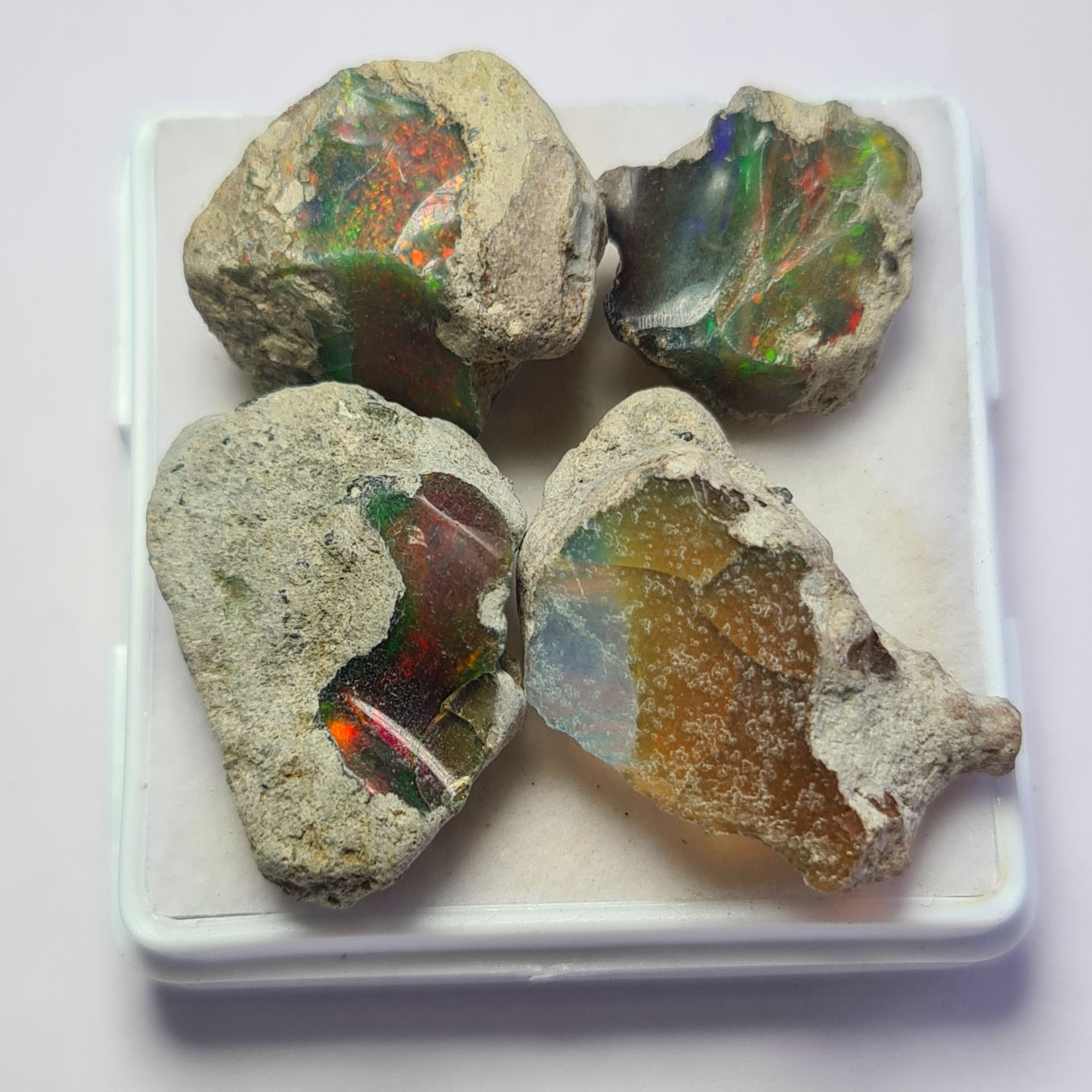 4 Pcs of Natural Black Opal Rough | Sizes: 15-23mm