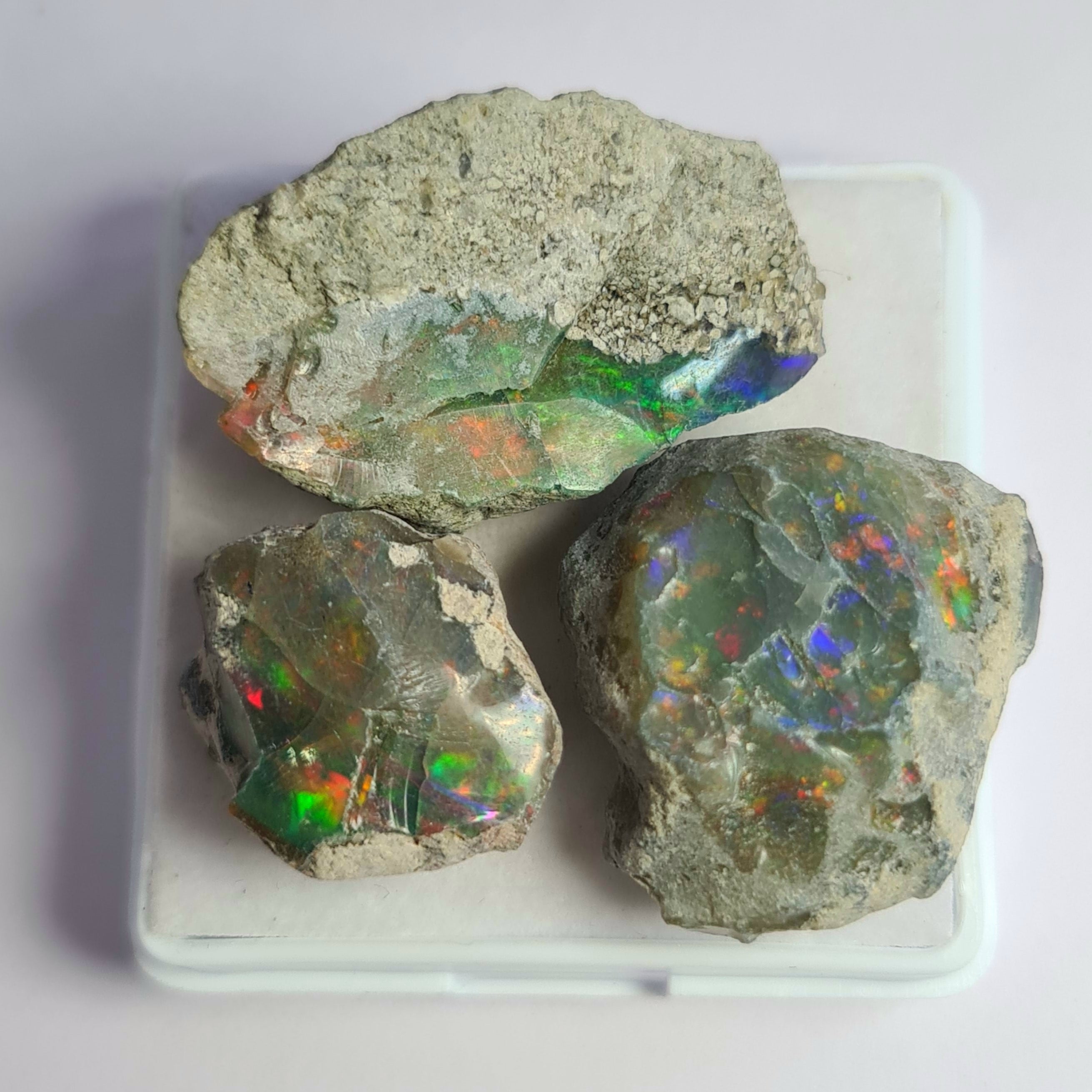 3 Pcs of Natural Black Opal Rough | Sizes: 17-30mm
