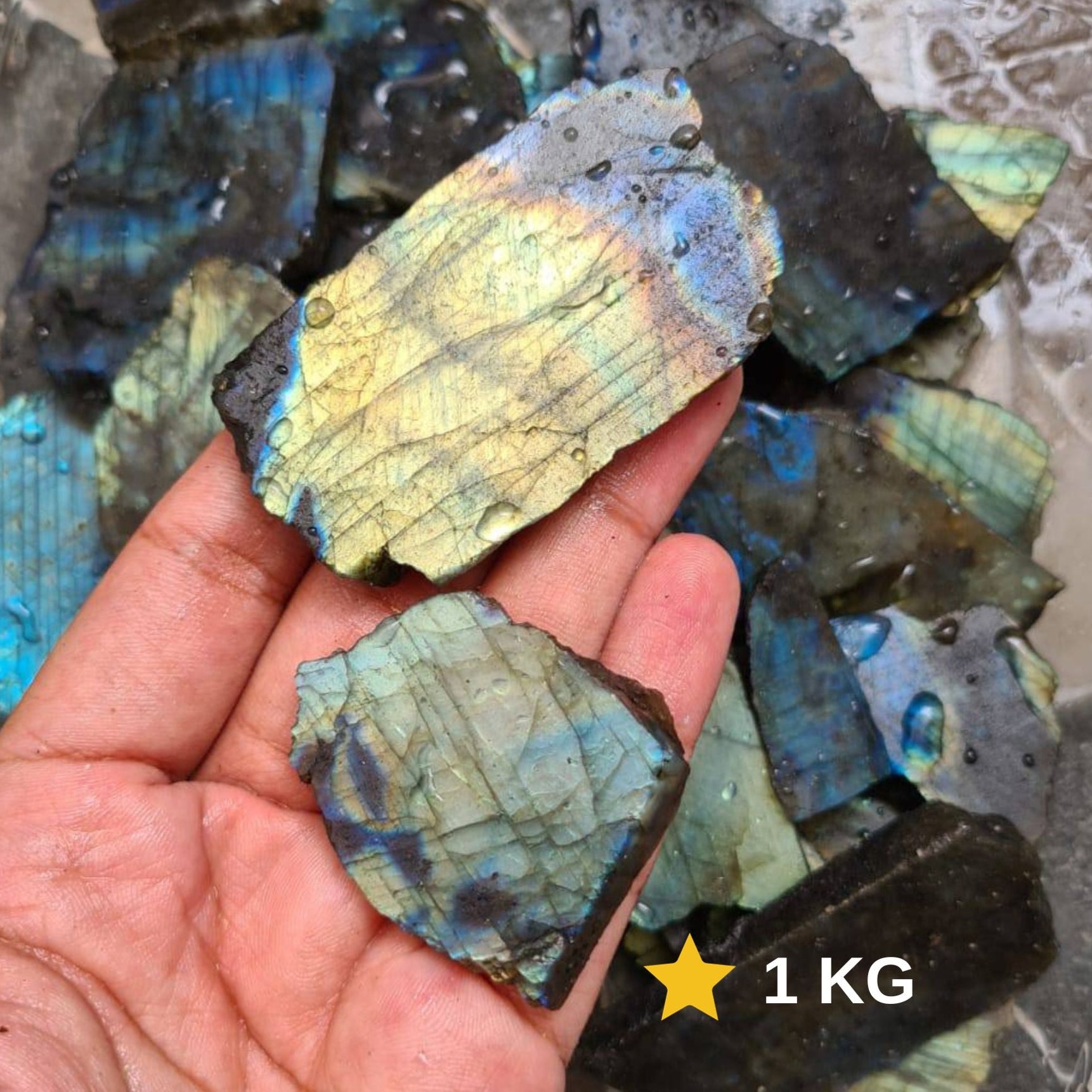 1KG Wholesale Labradorite raw Slabs | Good Flash in 1-4"Inches Sizes - The LabradoriteKing