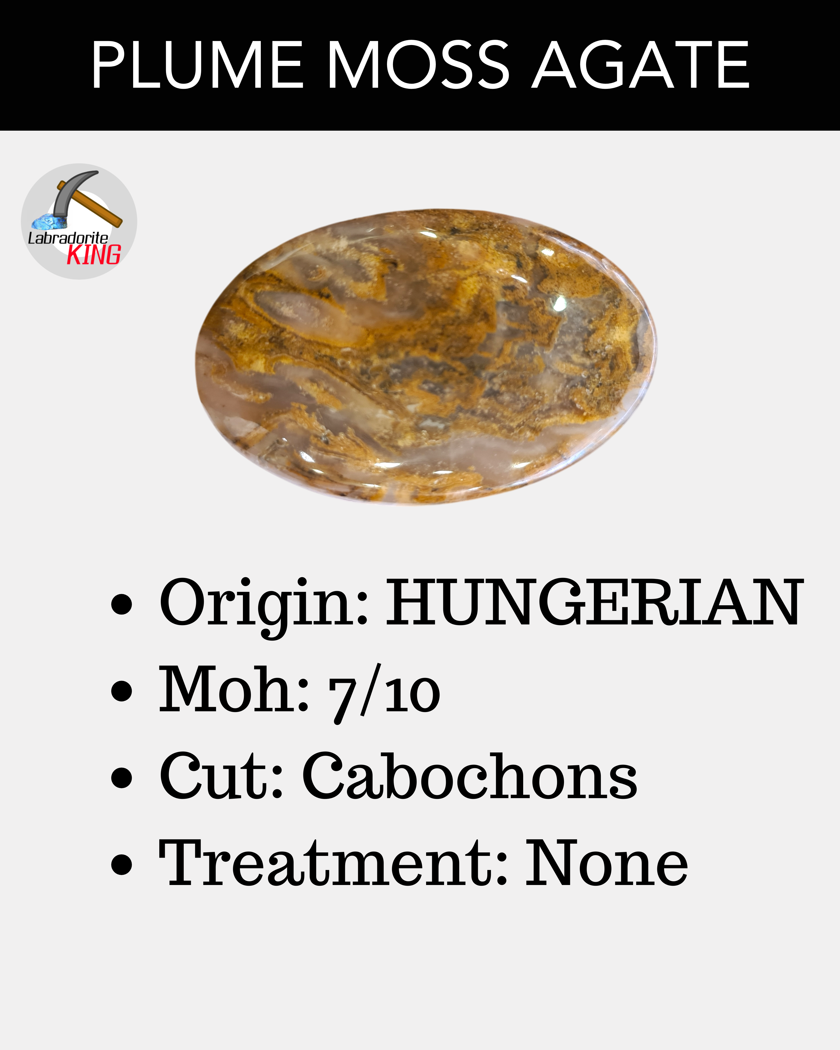 1KG Plume Hunerian moss Agate Cabochons | 90-110Pcs | 1'' to 2''Inches - The LabradoriteKing