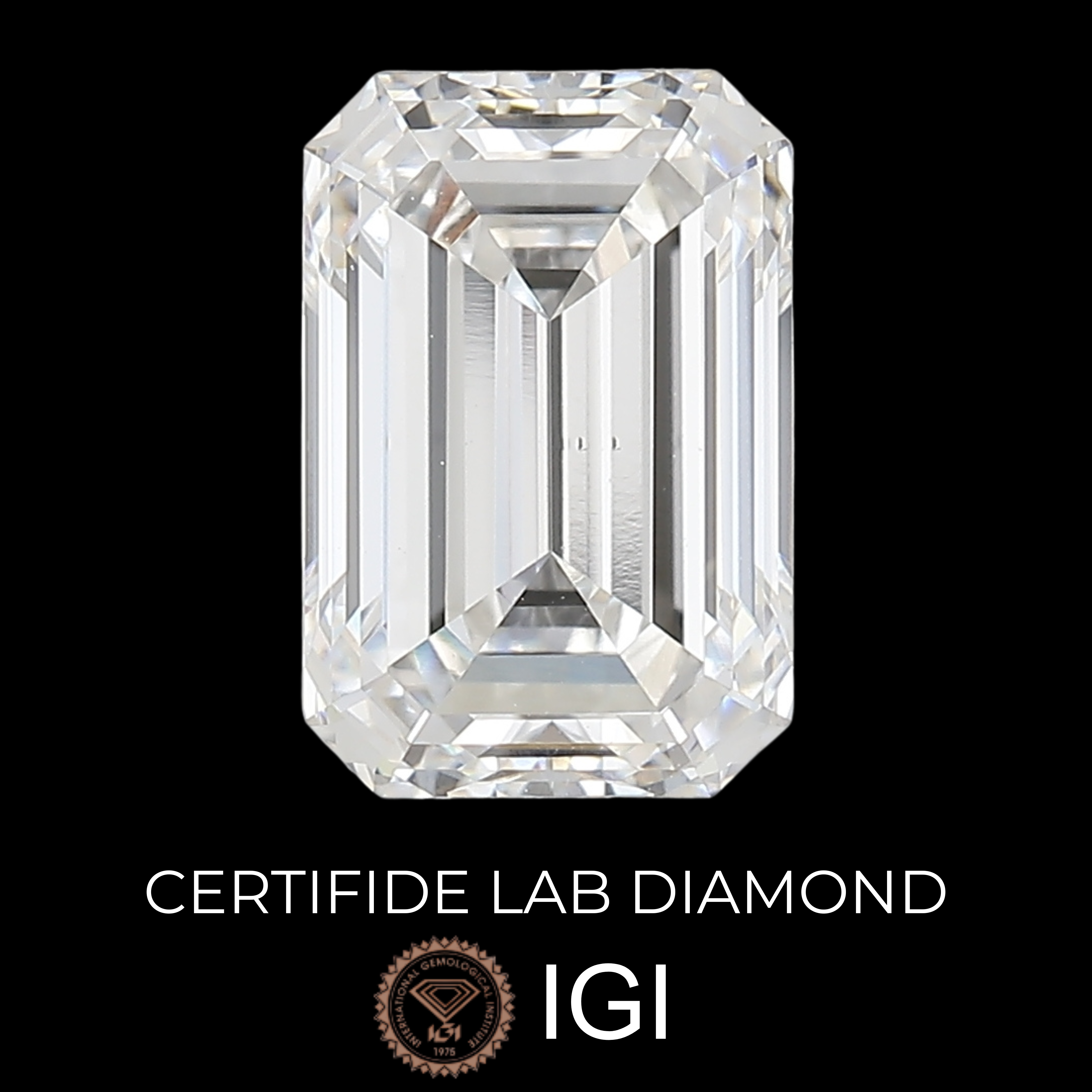 Lab Diamond Emerald Cut | EX Cut | VS2 | E Color | IGI Certified with Engraving - The LabradoriteKing