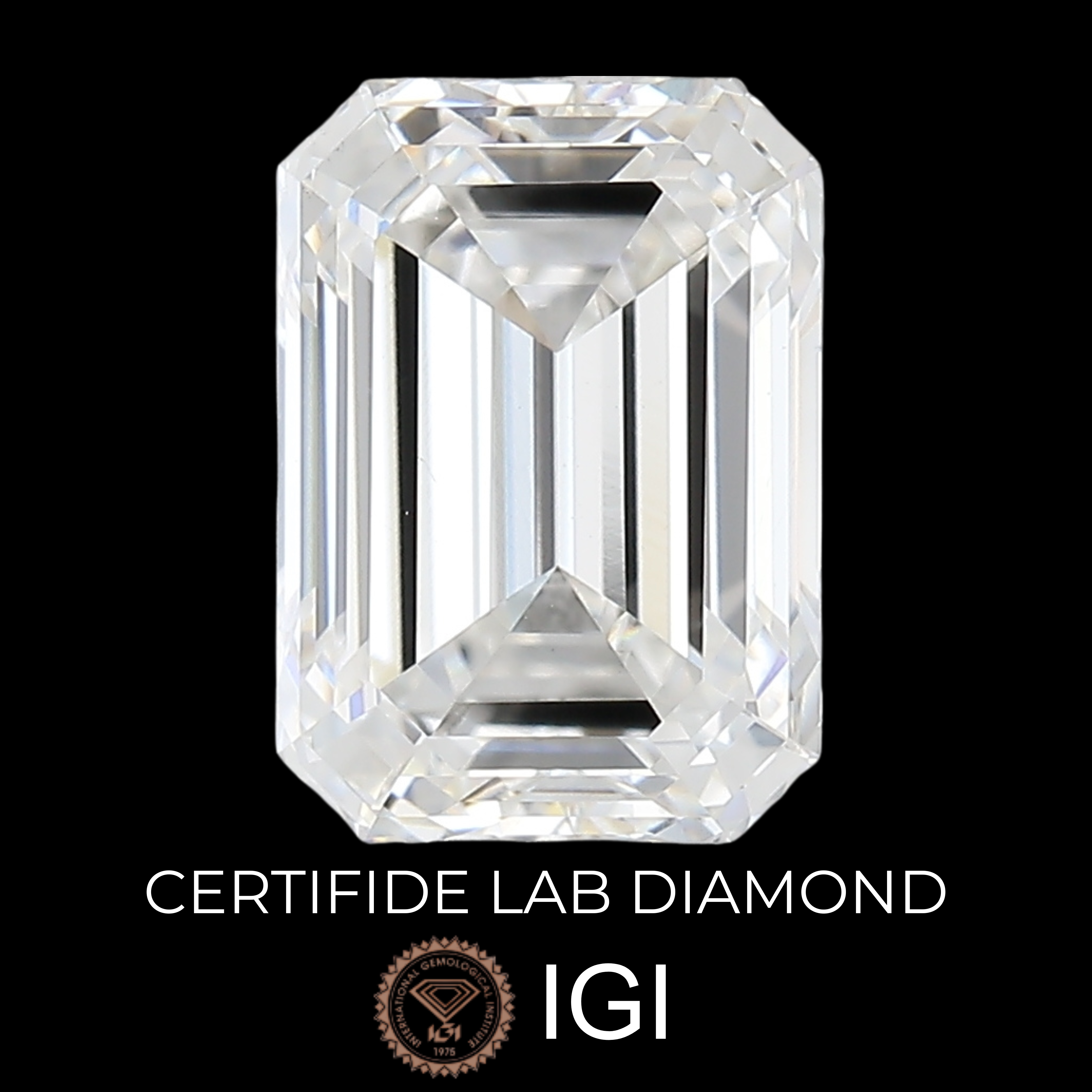 Lab Diamond Emerald Cut | EX Cut | VVS2 | E Color | IGI Certified with Engraving - The LabradoriteKing