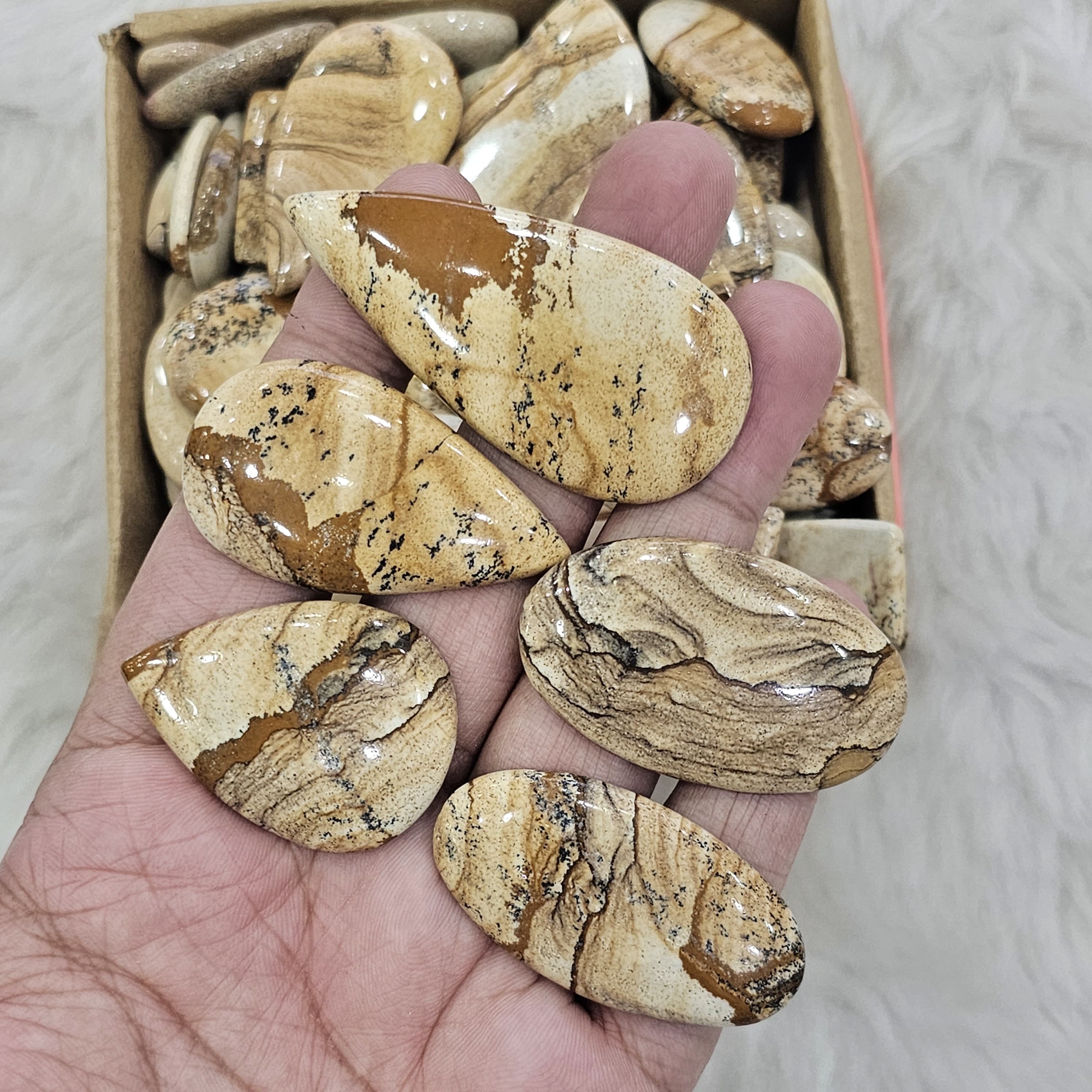500Gram/1Kg Picture Jasper | 1"-3" Inches  | 90-110 Pcs - The LabradoriteKing