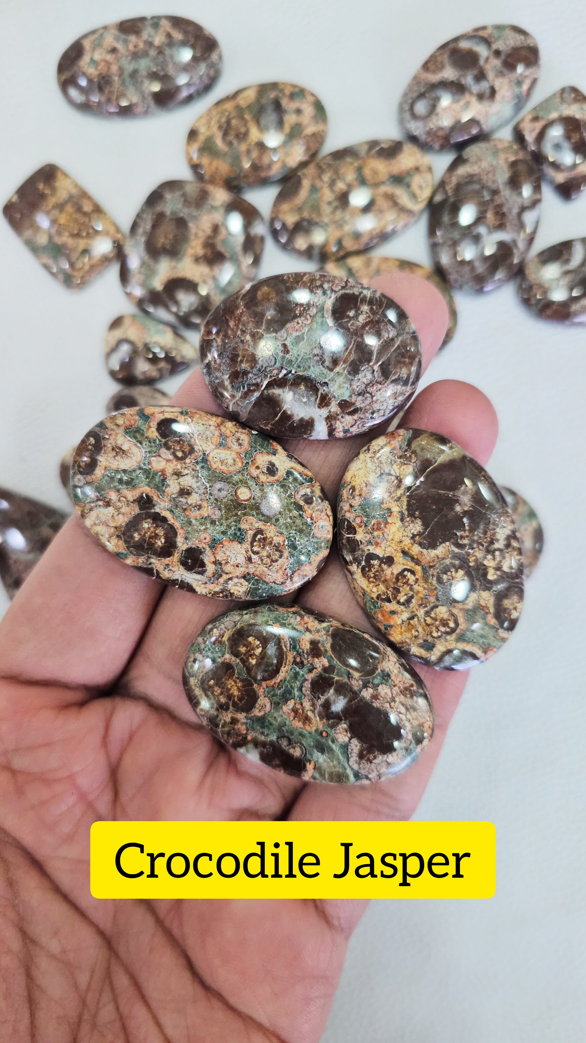 100 Grams RARE Natural Crocodile Jasper Cabochons | 25β48 mm | 10 Pcs Appro - The LabradoriteKing