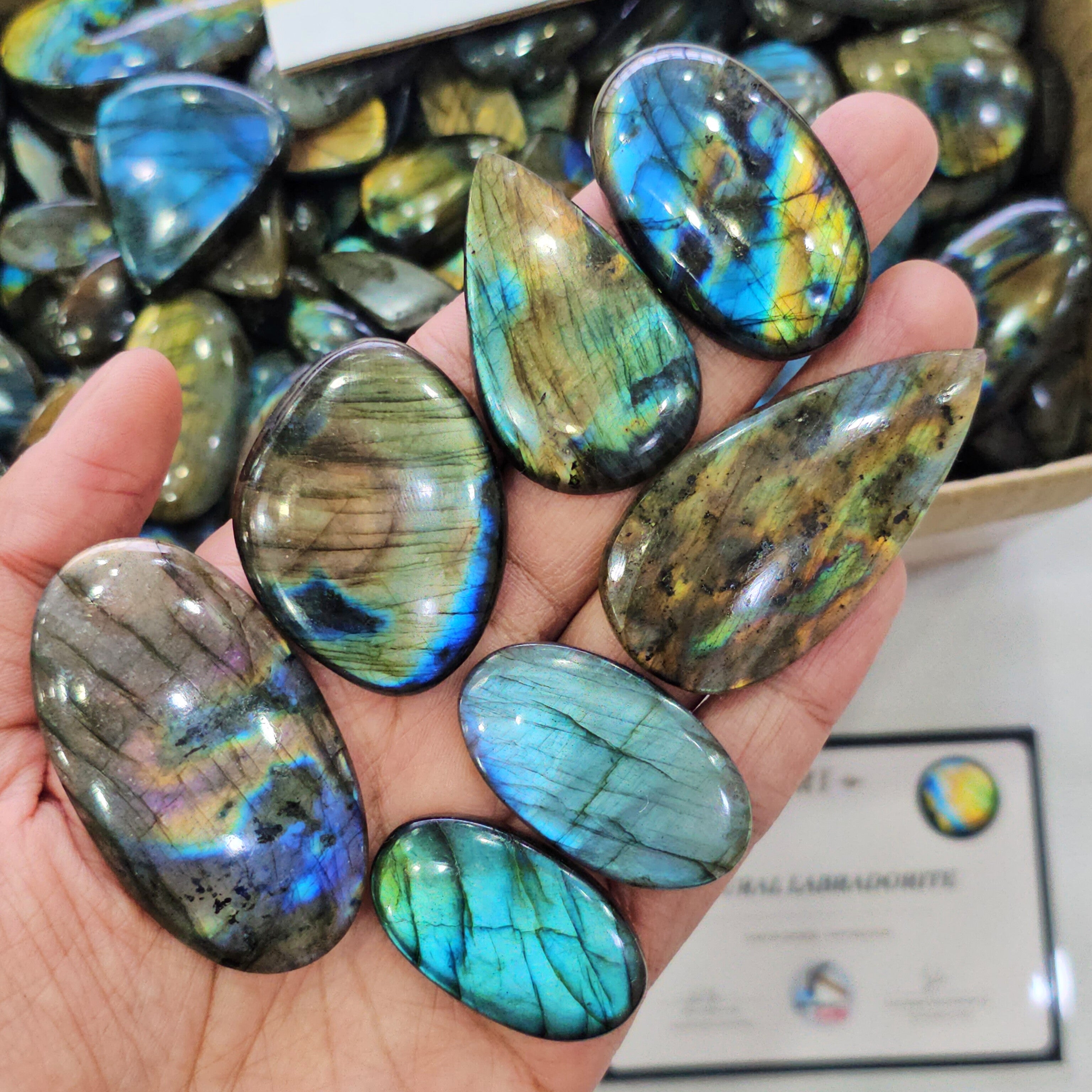 Wholesale🔥 Labradorite Cabochons V4.0 | Flashy High quality slabs 1-3"Inches | 80-100 pcs
